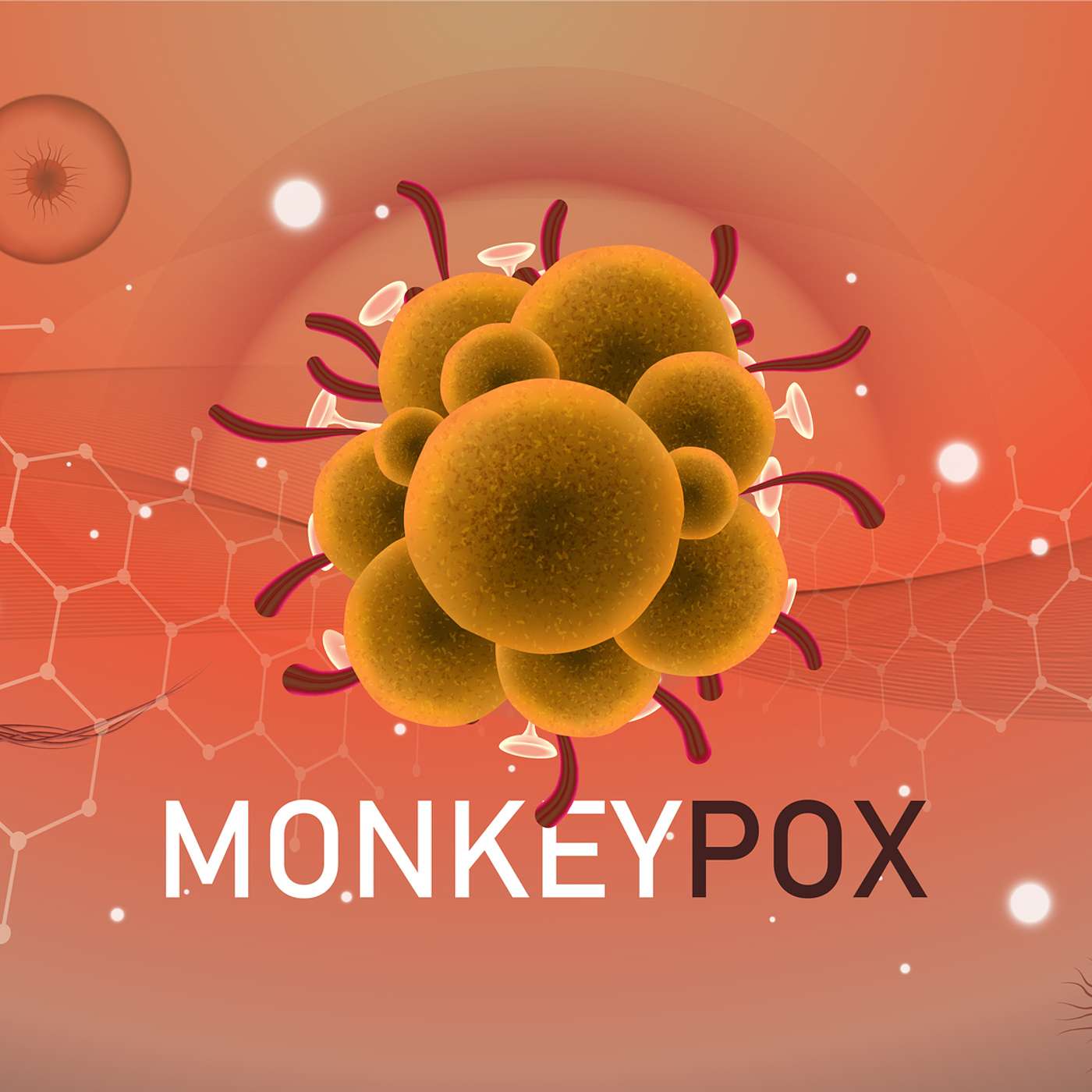 Monkeypox: Symptoms and Treatment