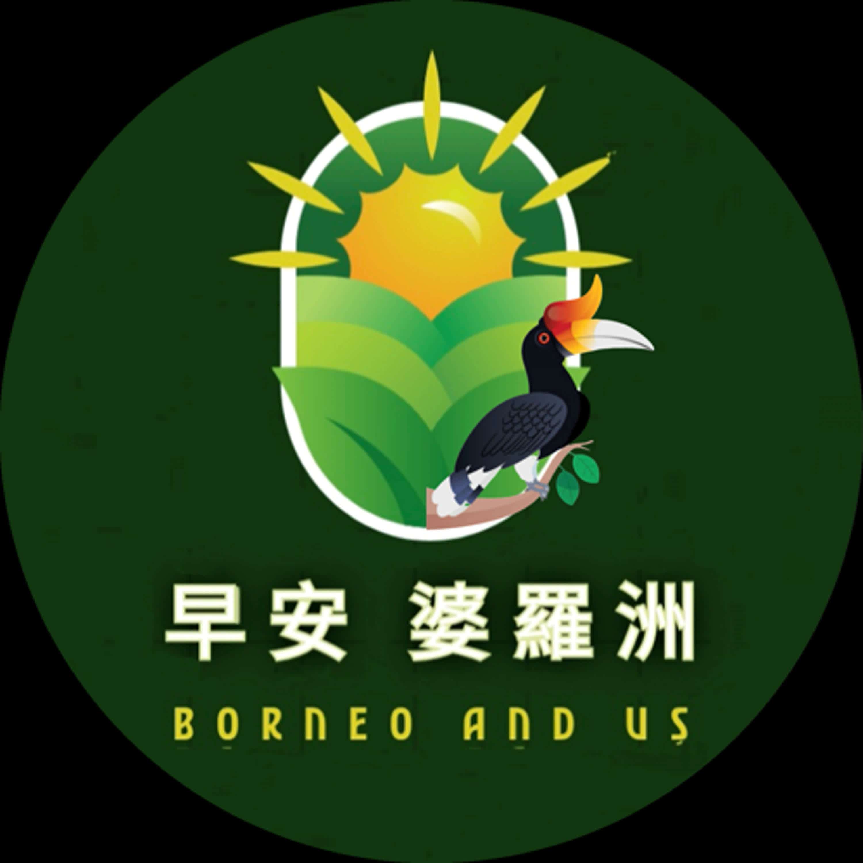 早安!婆羅洲