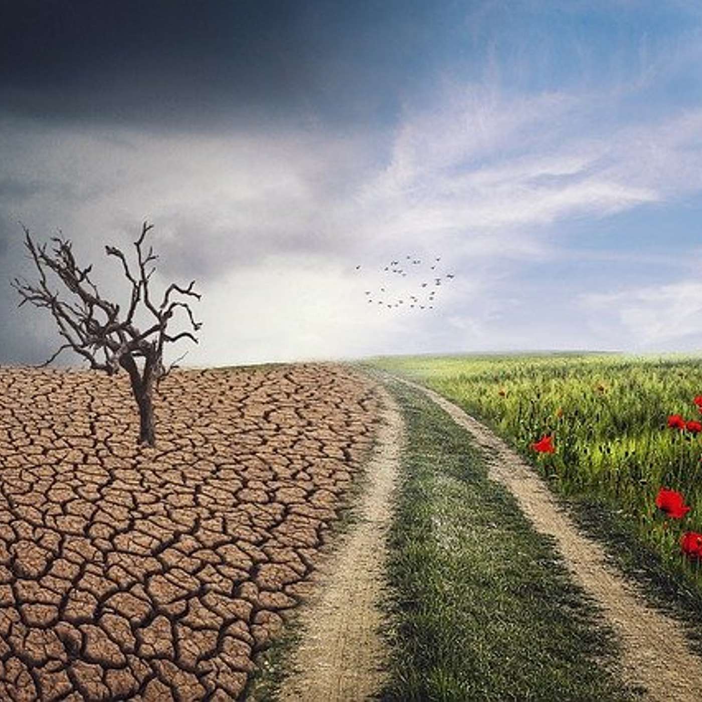 #058 Twelve Unexpected Consequences of Climate Change