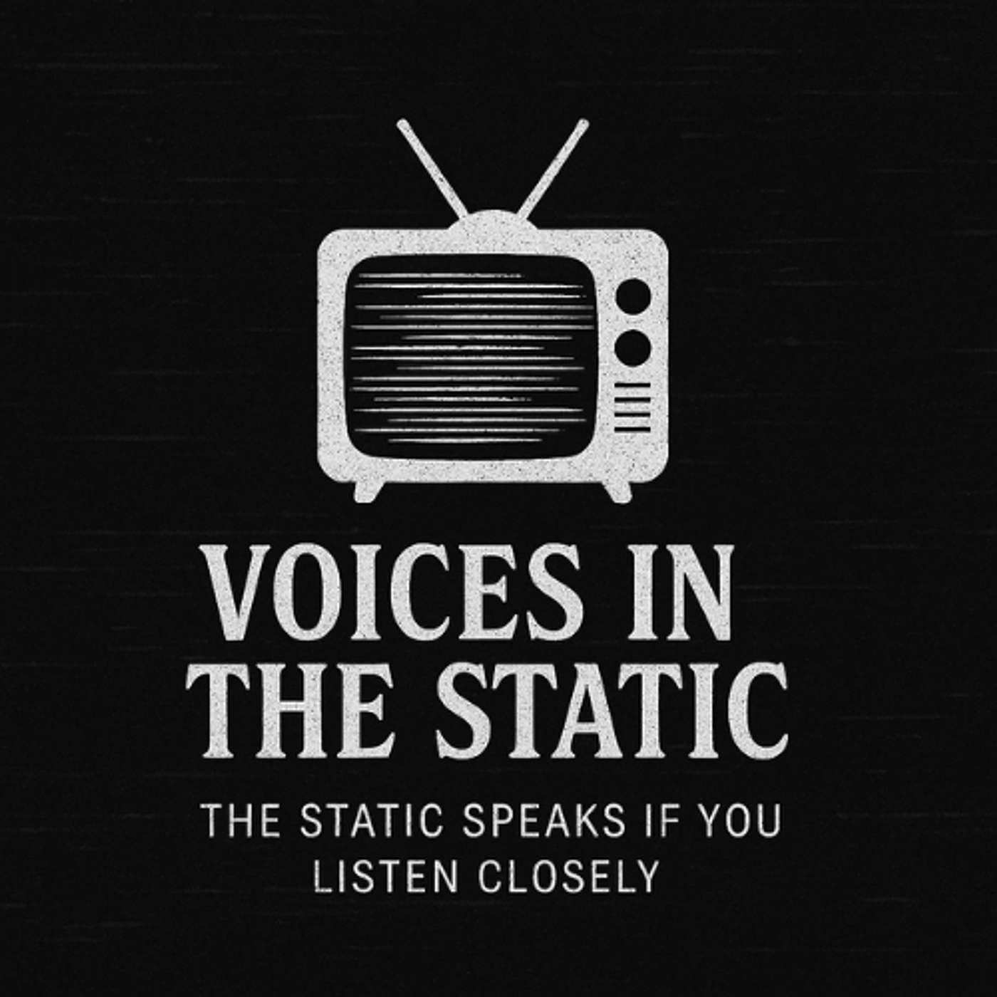 Voices in the Static cover art