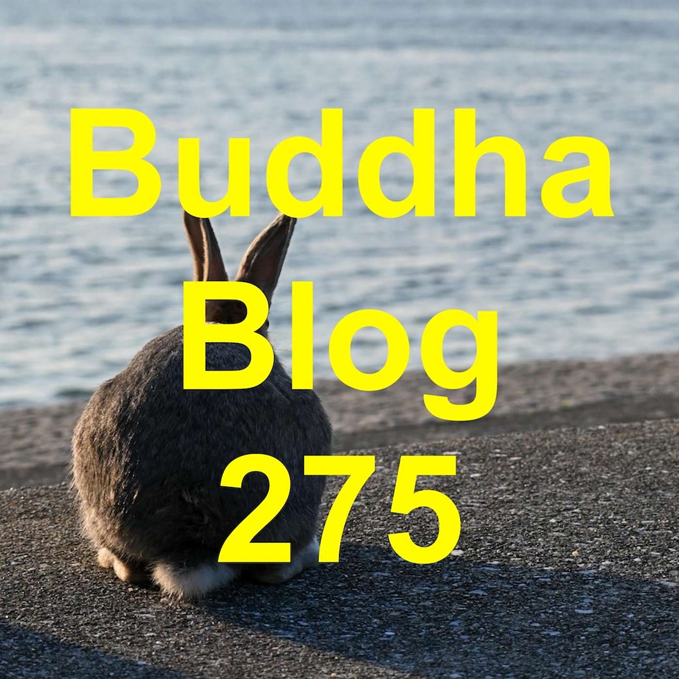 275-Krisenzeiten-Buddha Blog-Buddhismus im Alltag