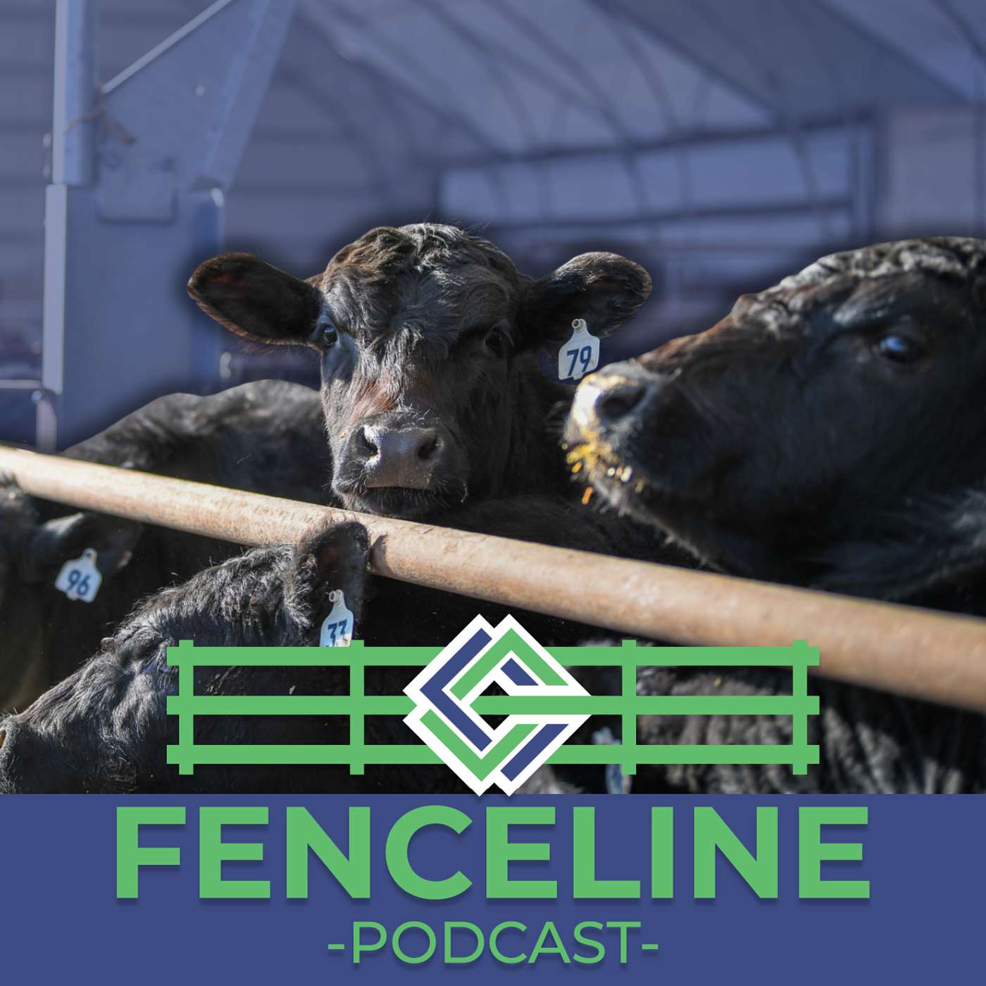 Farm To Fork: Iowa Beef Edition episode artwork