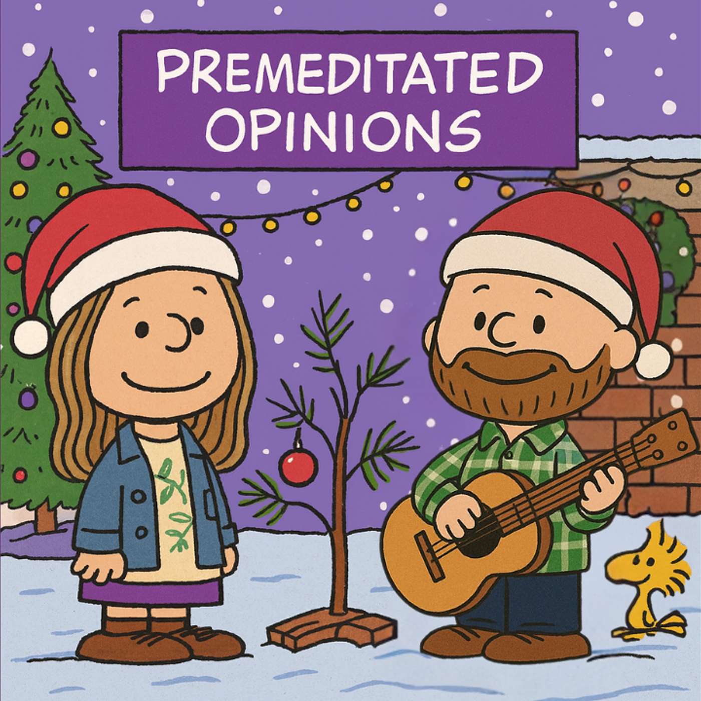 Premeditated Opinions