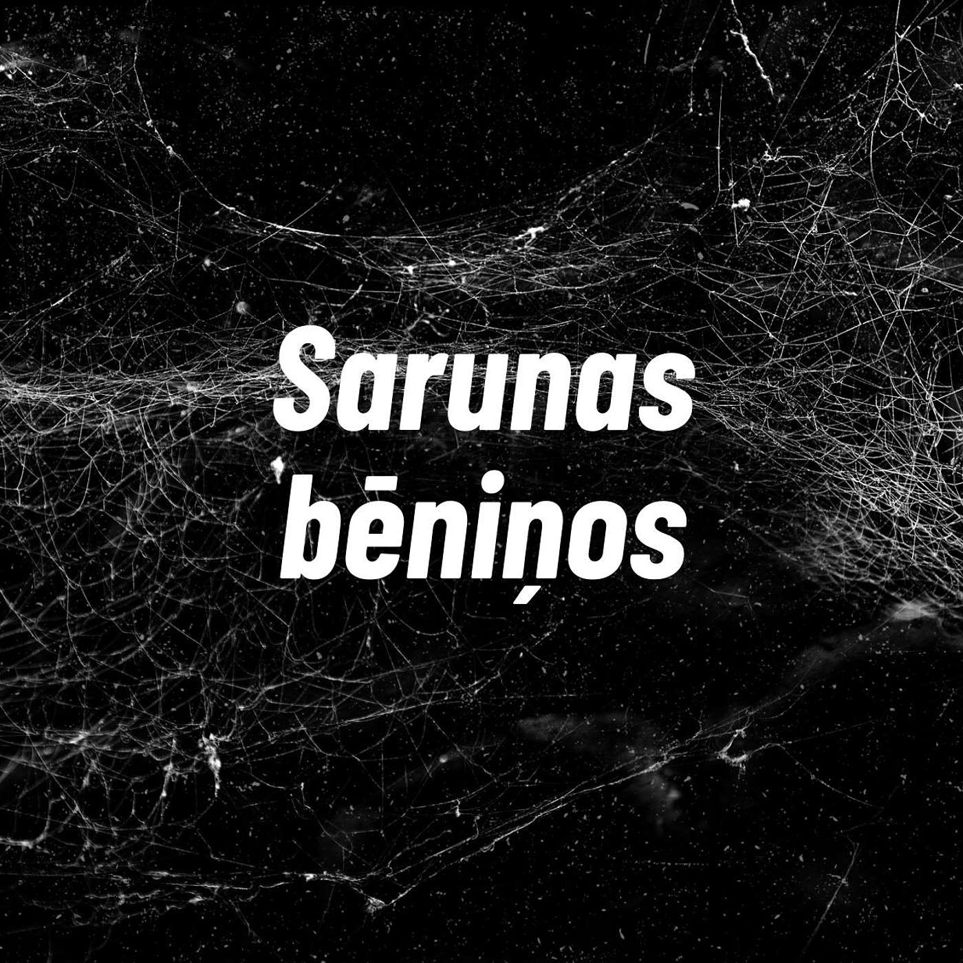 Sarunas bēniņos