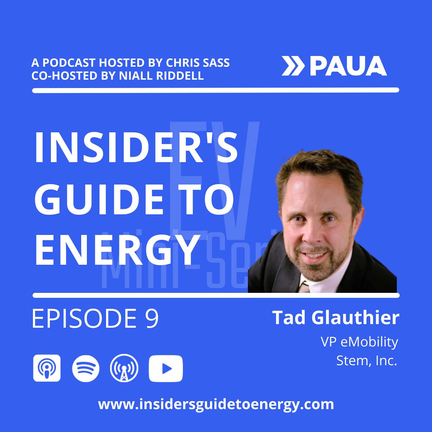 Insider\'s Guide to Energy EV