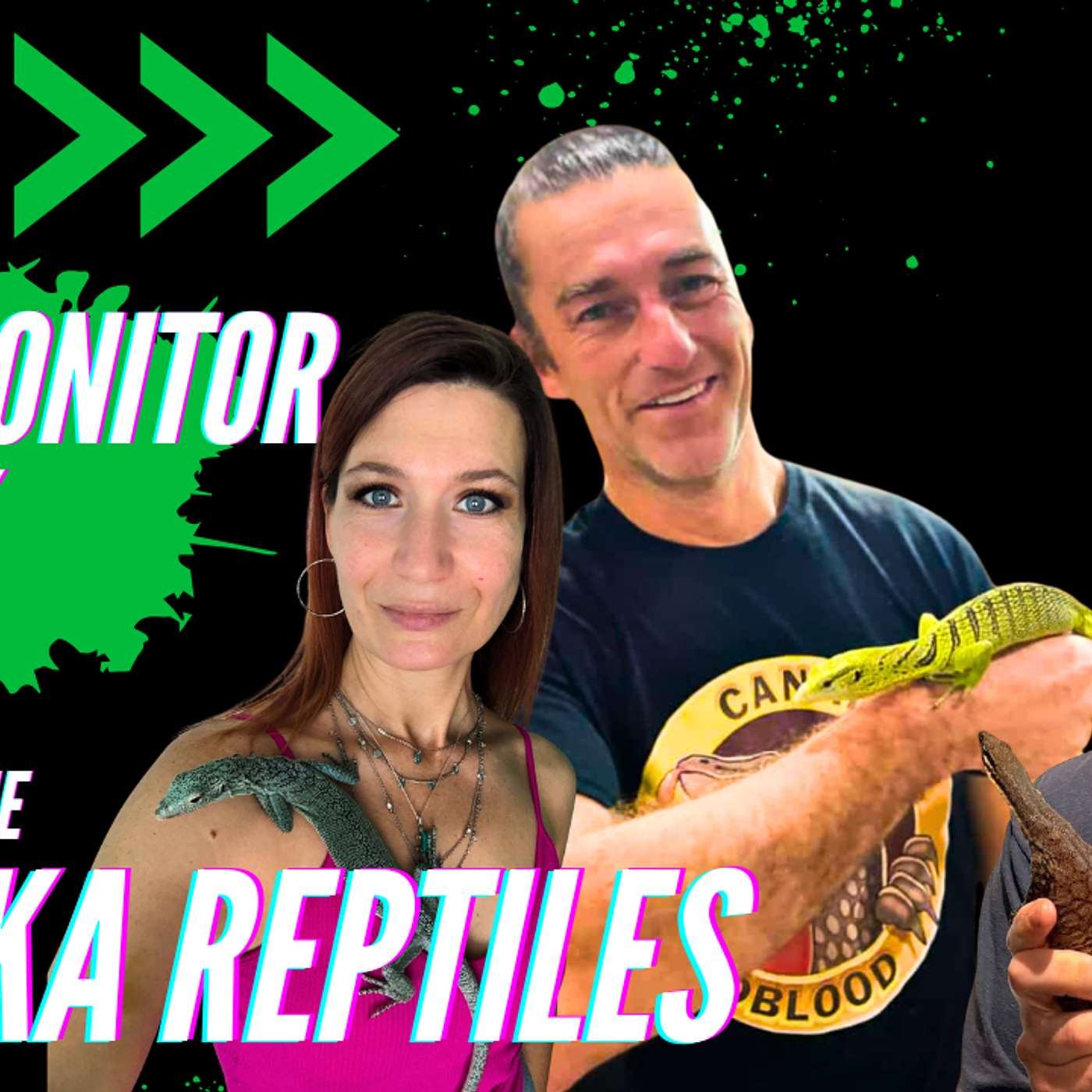 The Art Of Breeding Dwarf Monitors | All Monitor Talk Ep.59