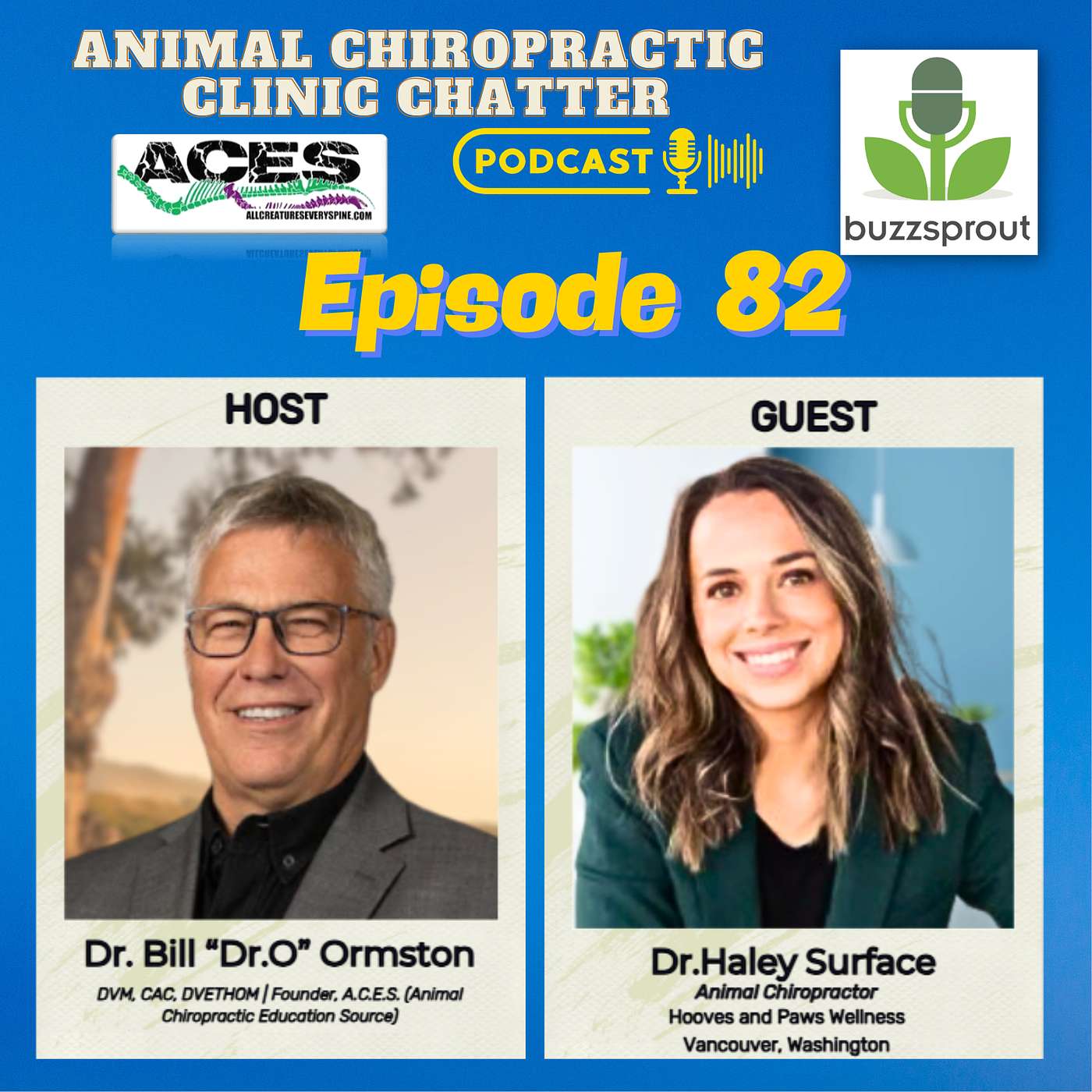 Animal Chiropractic Clinic Chatter - 🎥🎙️ Animal Chiropractic Clinic Chatter | Interview with Dr. Haley Surface - Episode 82 🐾