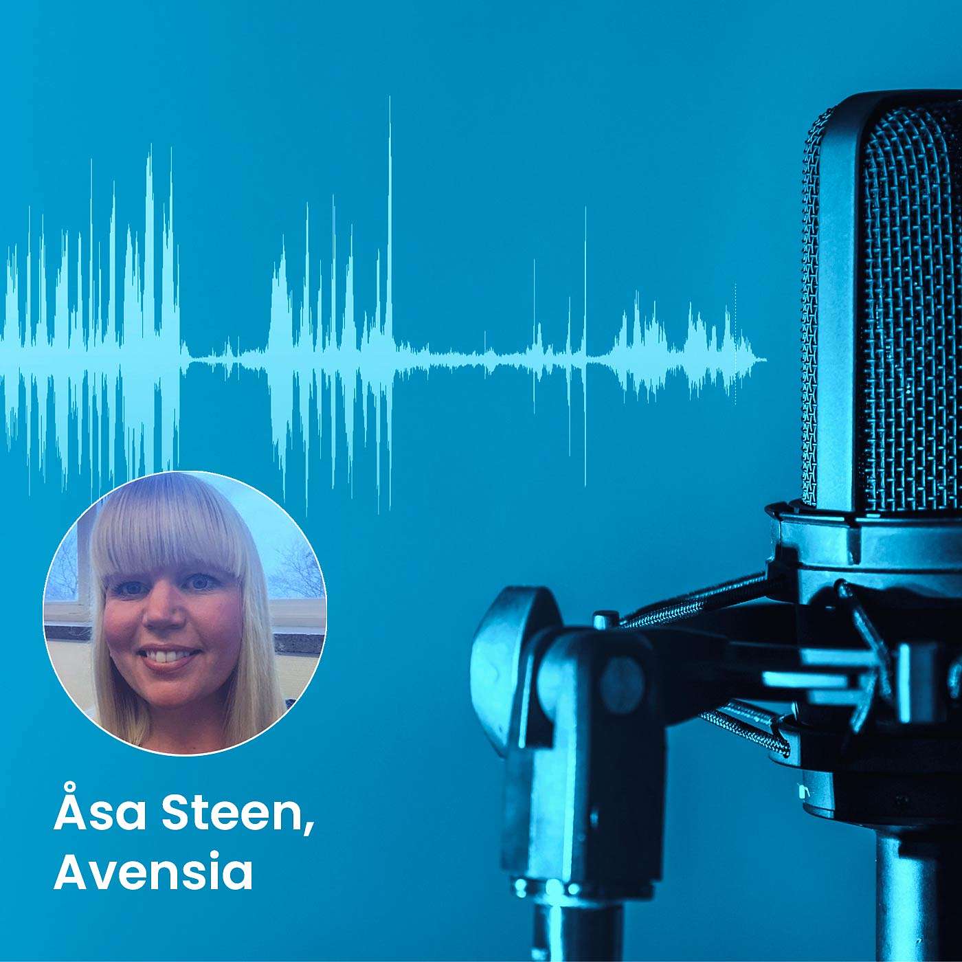 Why Do You Need a Driver's Licence for Your New E-commerce Solution?