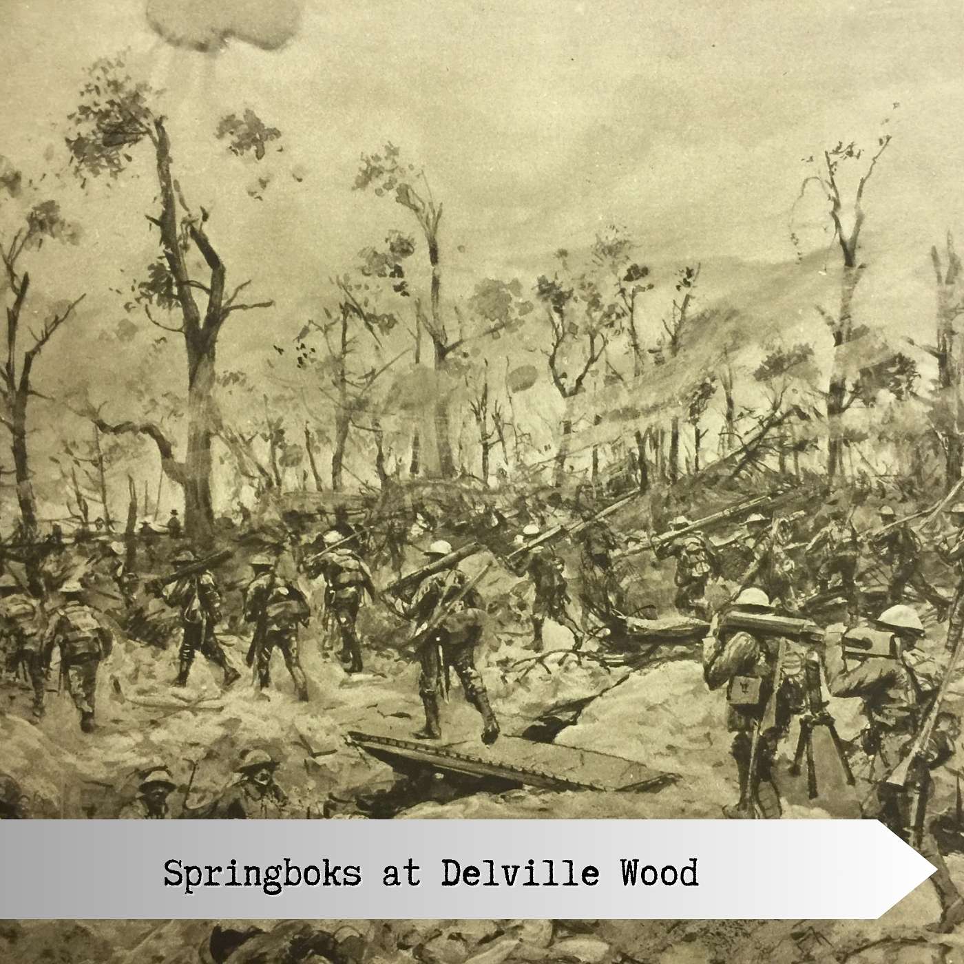 Springboks at Delville Wood