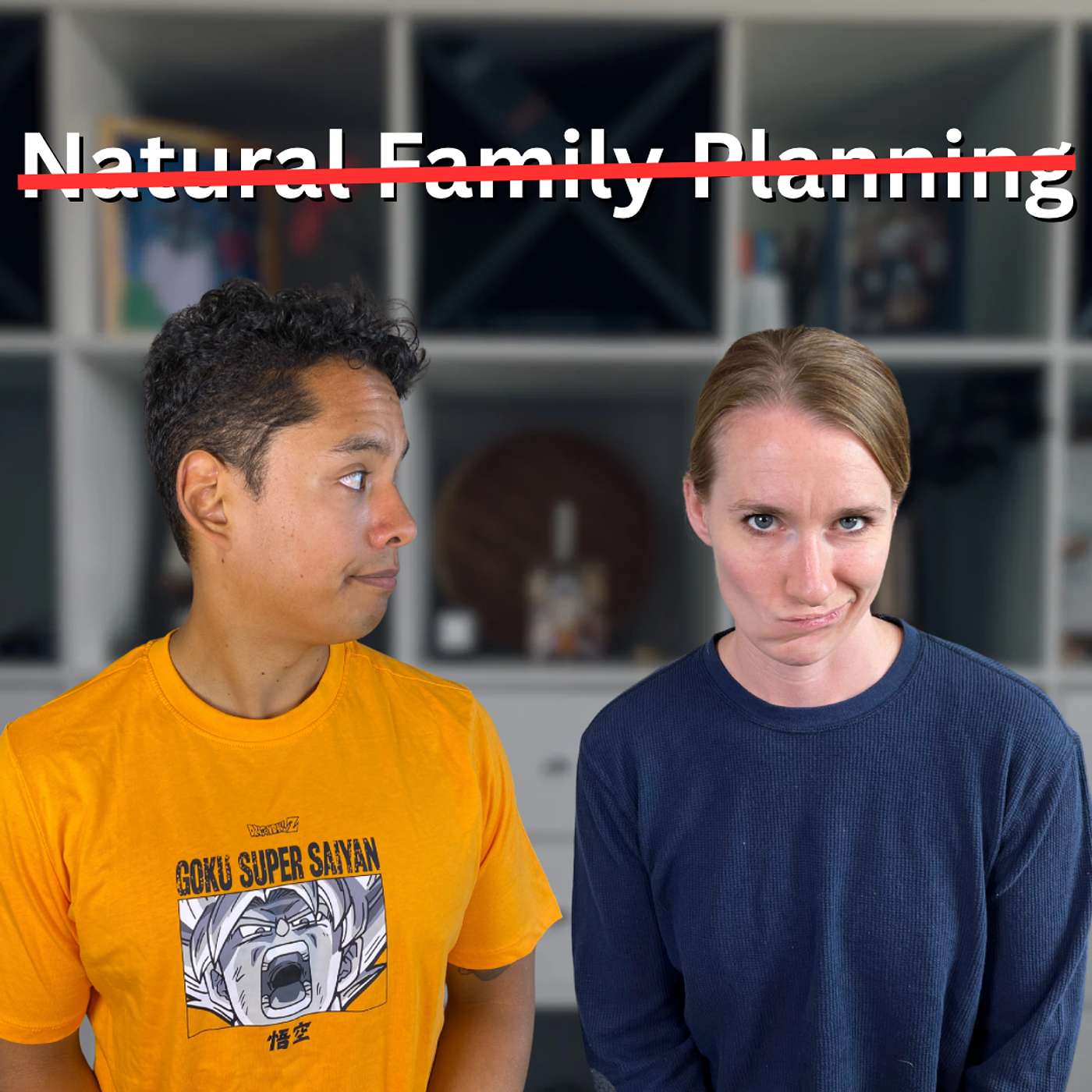 161. the truth about NFP that we need to tell newly weds