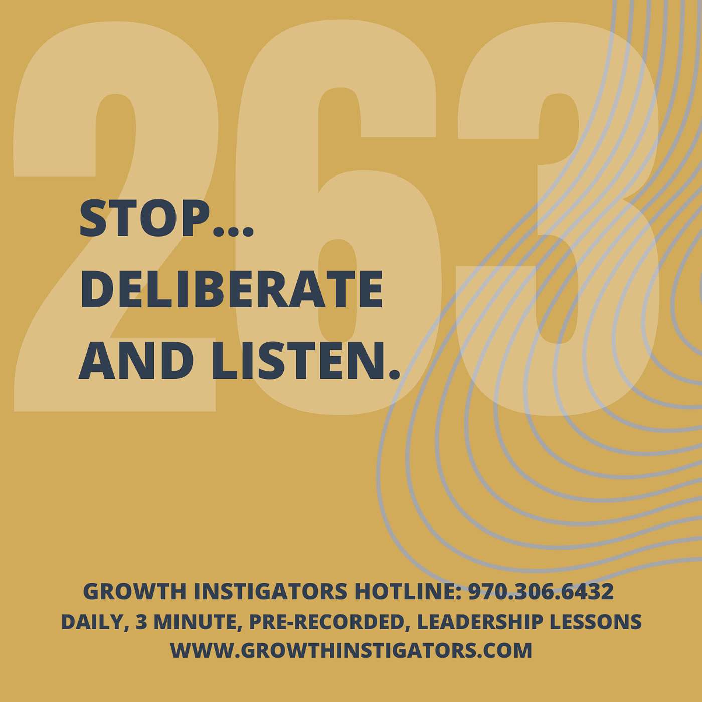 #263 Stop… deliberate and listen. episode artwork