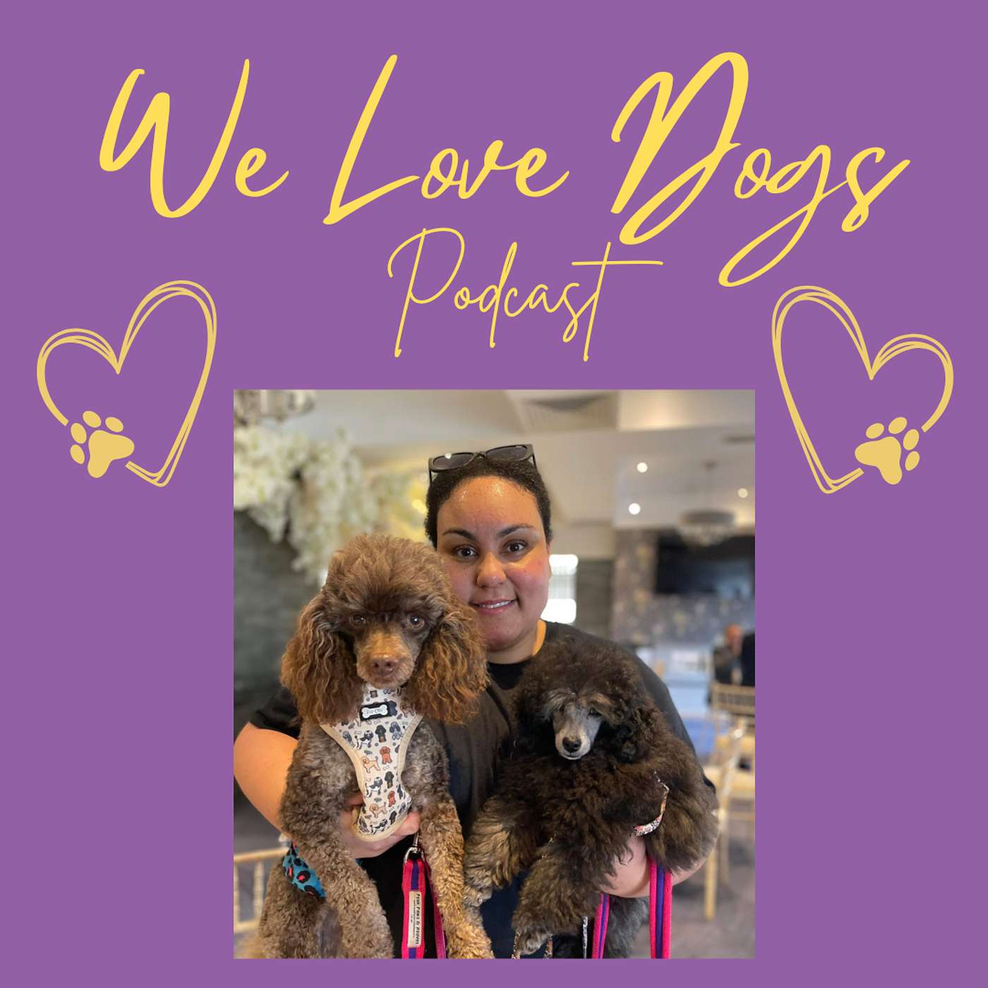 Understanding Your Poodles: Secrets Every Owner Should Know - Interview With Shelina Duke episode artwork