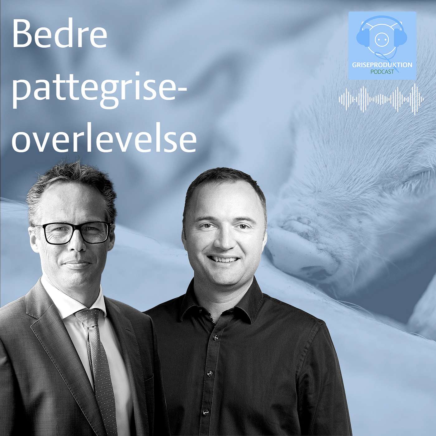 Bedre pattegriseoverlevelse