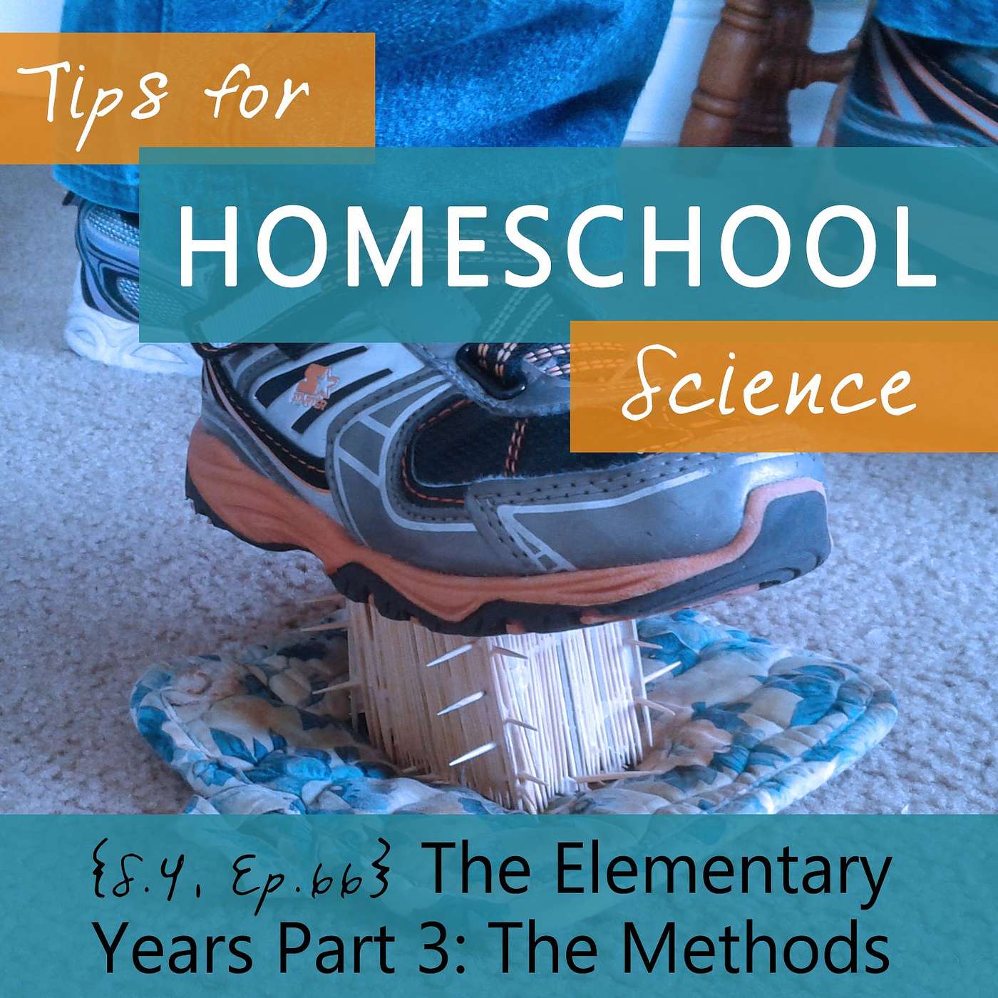 Tips for Homeschool Science Podcast from Elemental Science