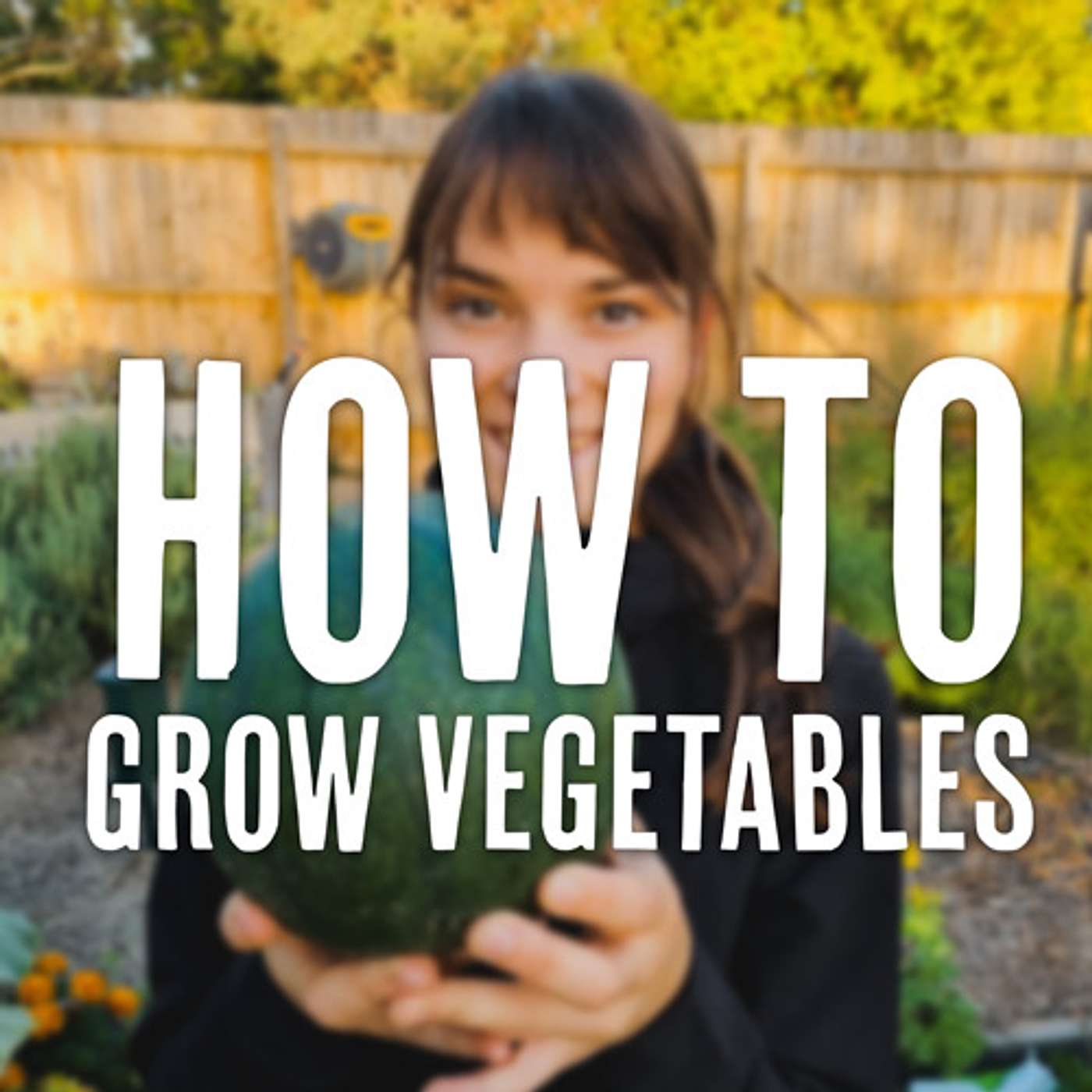 The 5 Secrets To Growing Vegetables