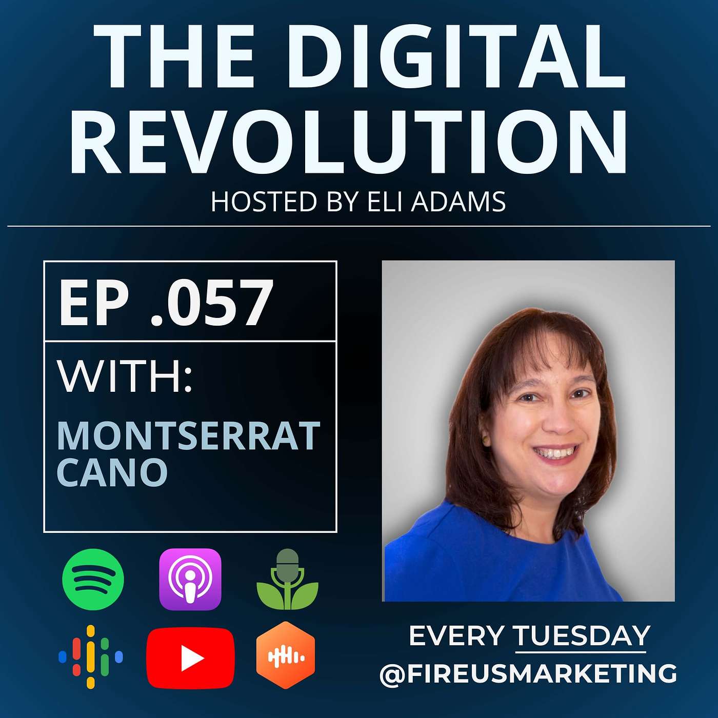 The Digital Revolution Podcast - With Eli Adams