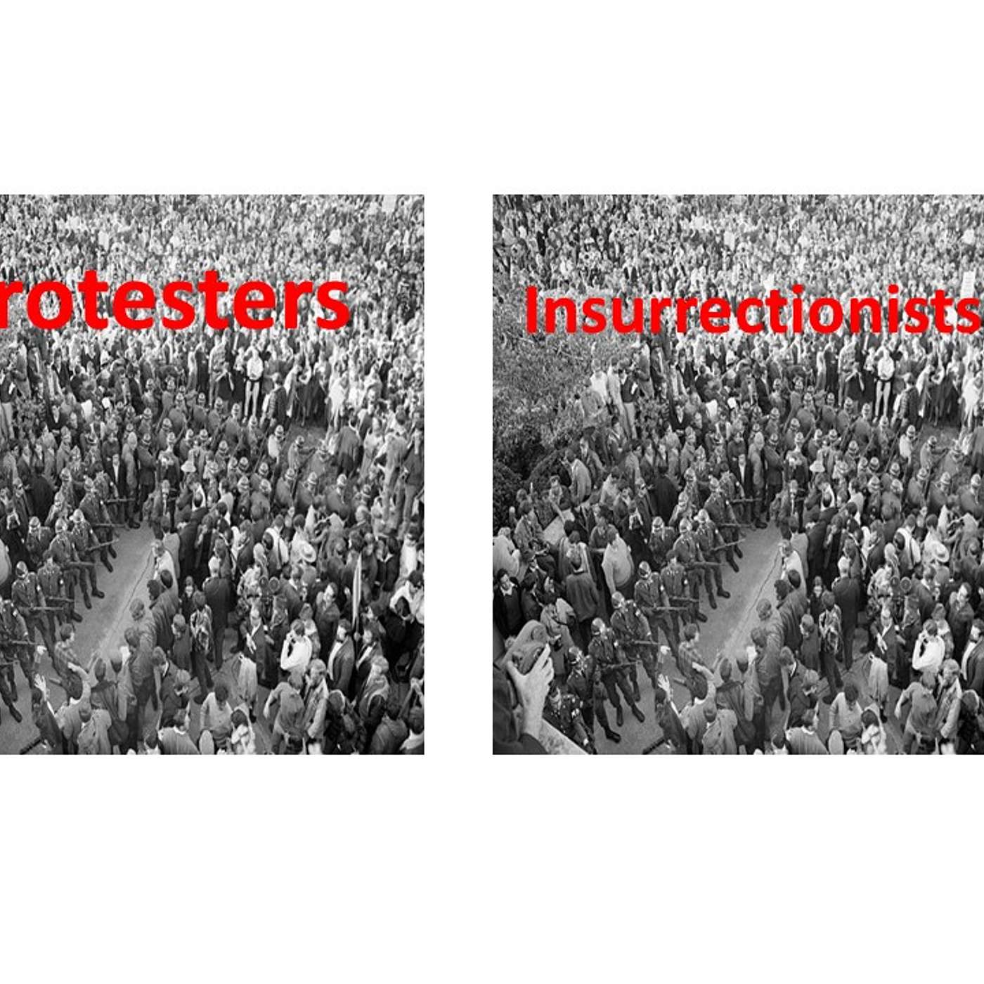 Protesters VS Insurrectionists