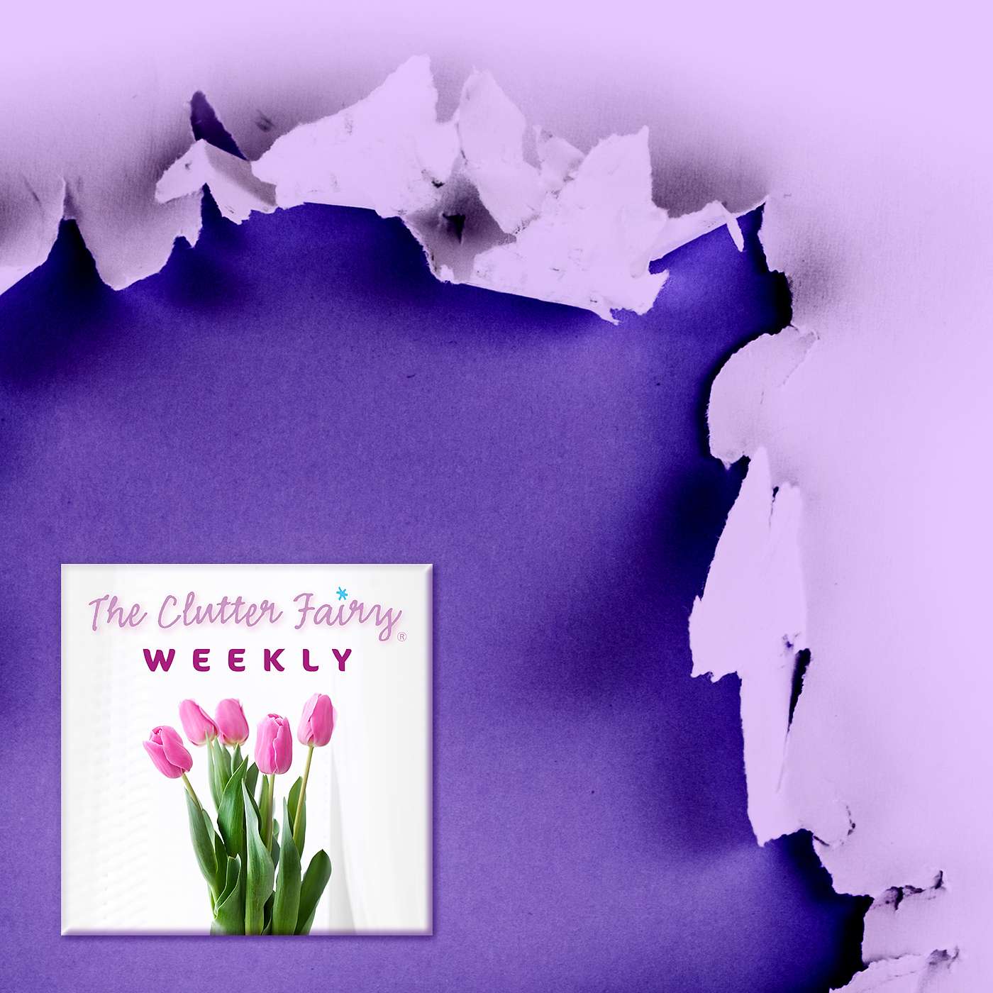 The Clutter Fairy Weekly #34 - Yes, You Really Can Go Paperless—Mostly
