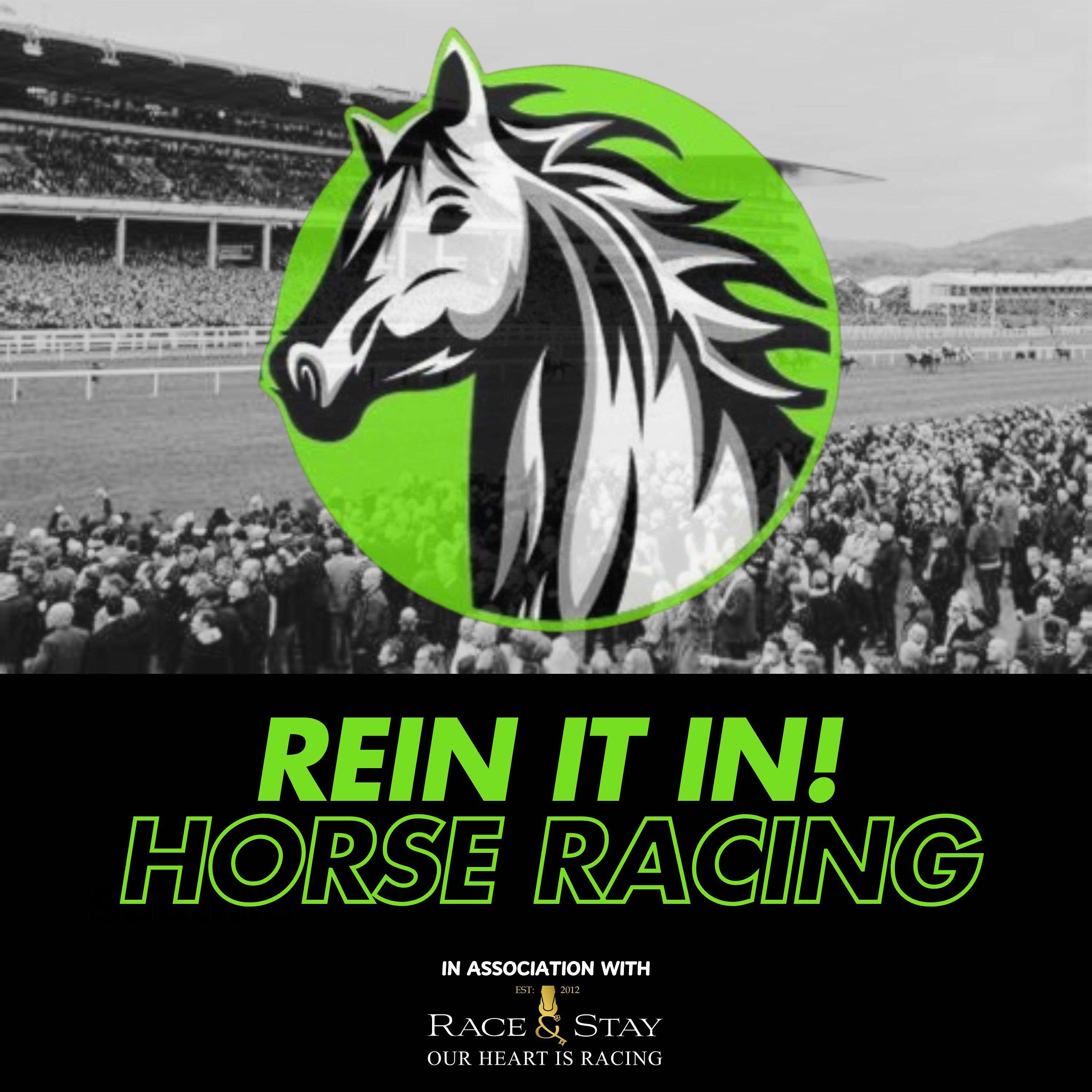 Rein It In! Horse Racing