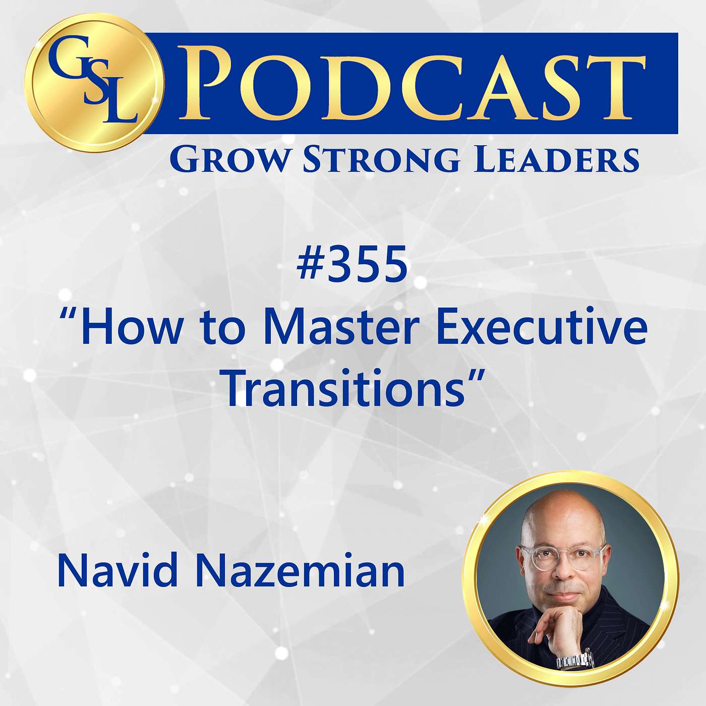 355: How to Master Executive Transitions 355: How to Master Executive Transitions