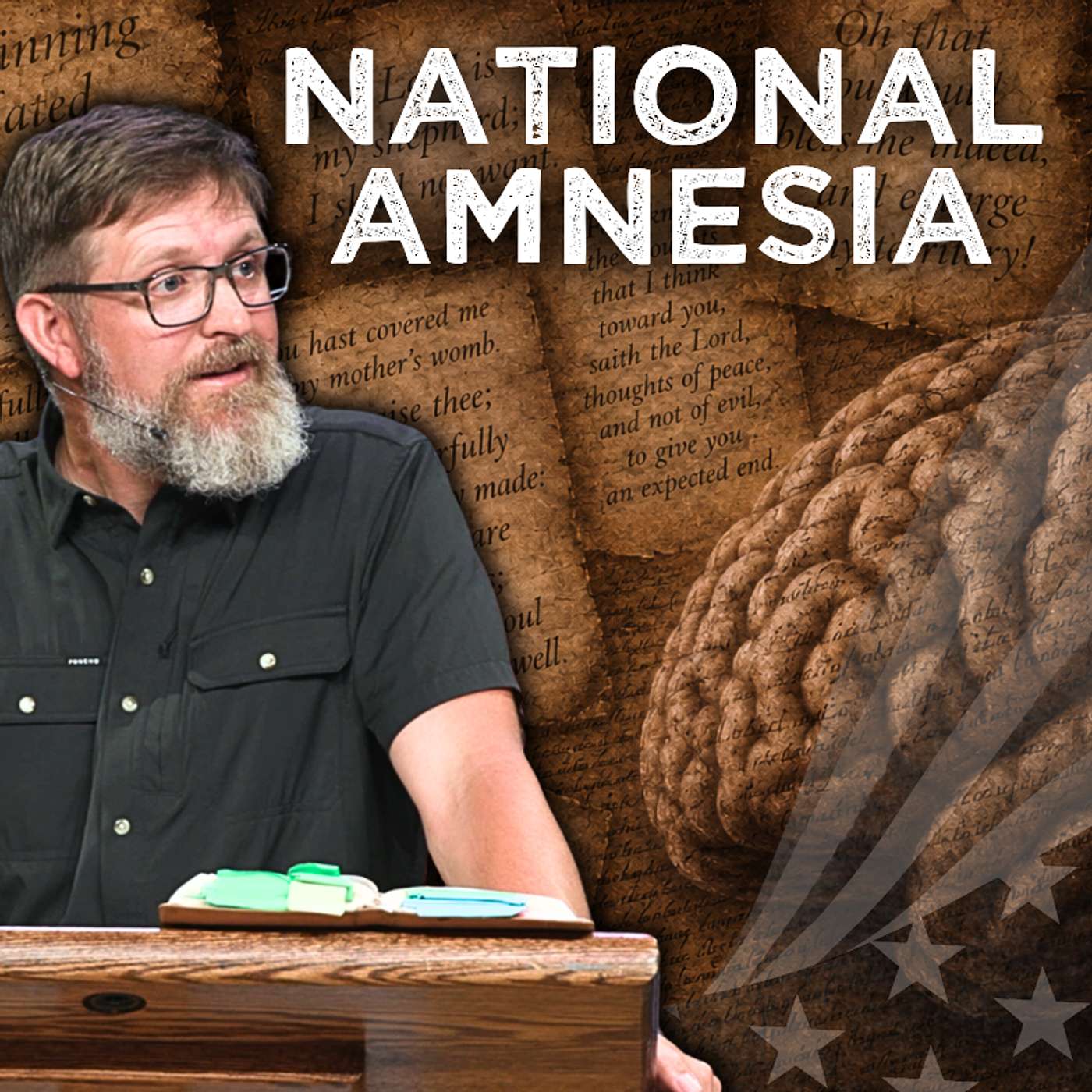 The Cure for National Amnesia episode artwork