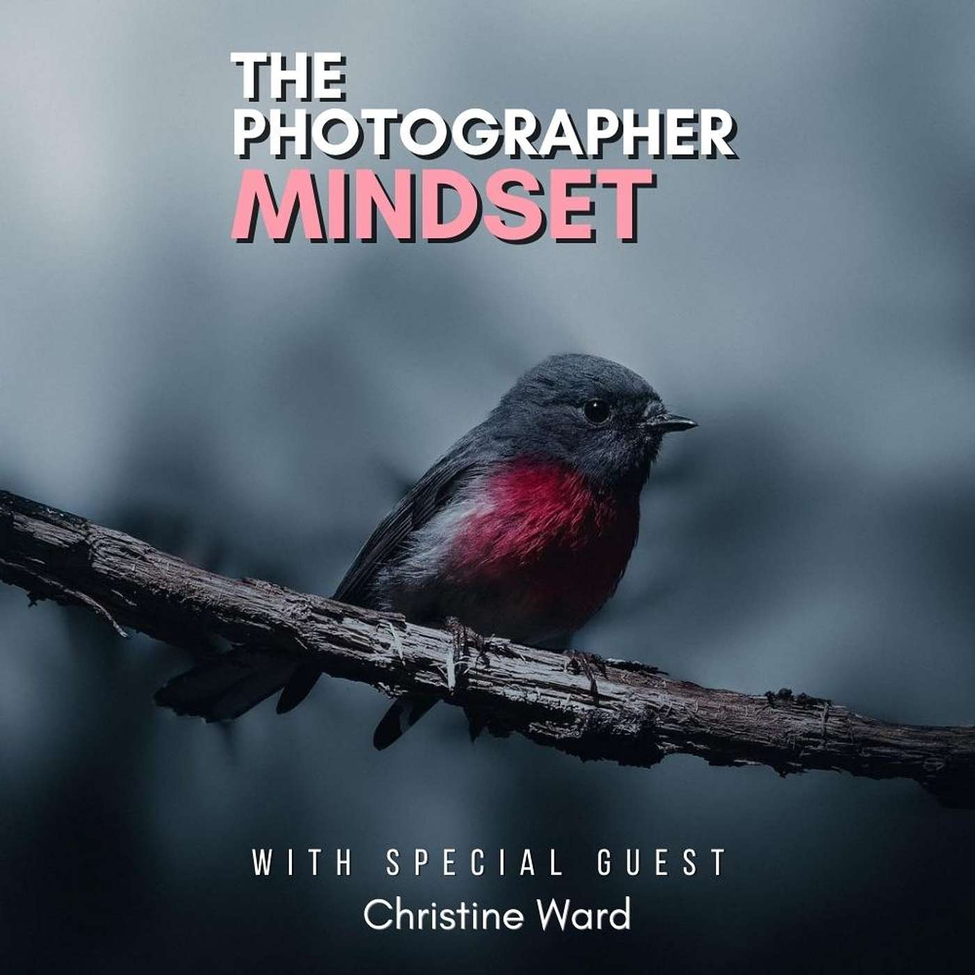The Photographer Mindset