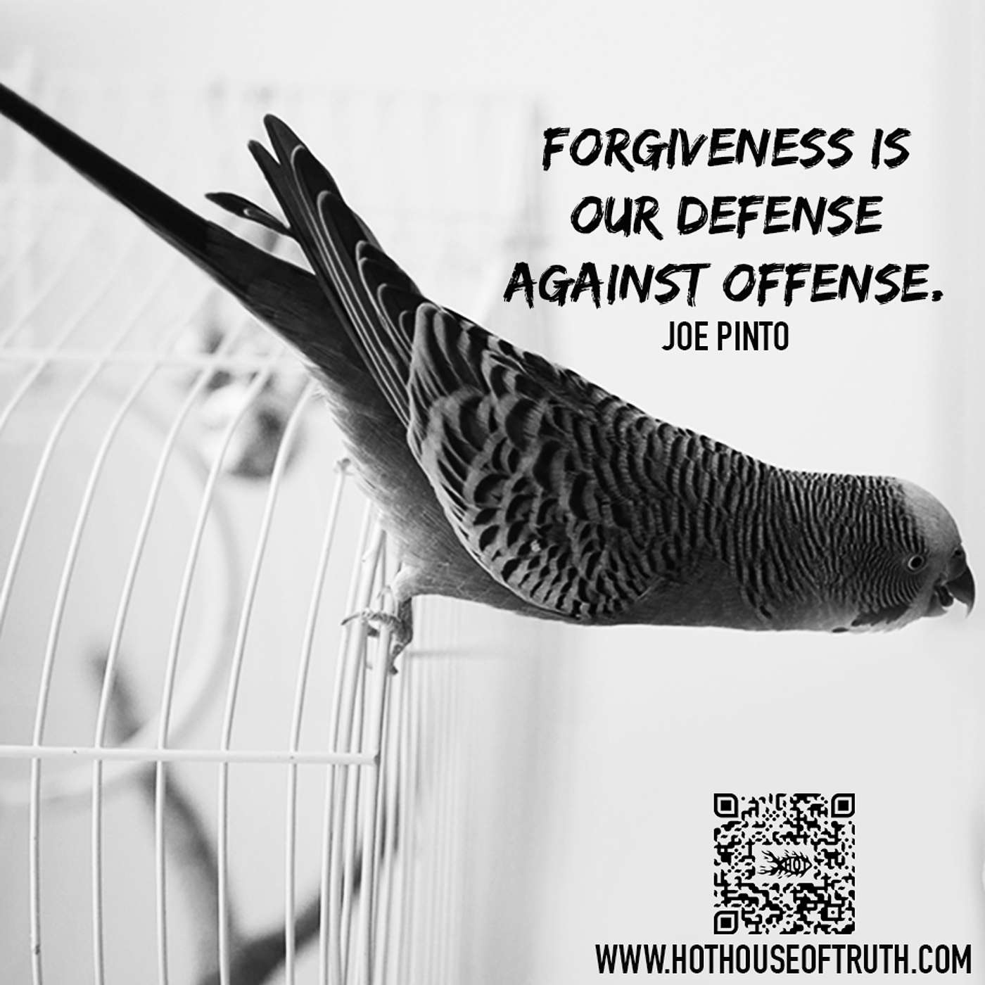 Forgive By Joe PInto