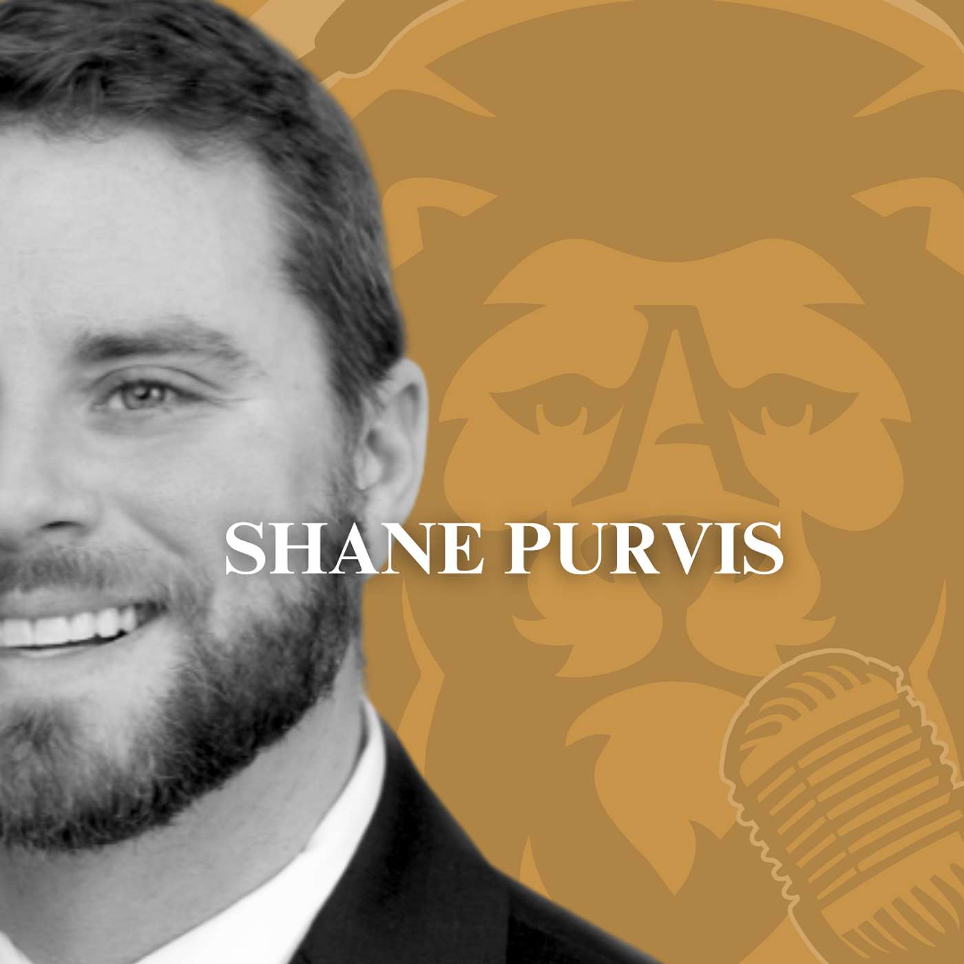 In The Arena Podcast