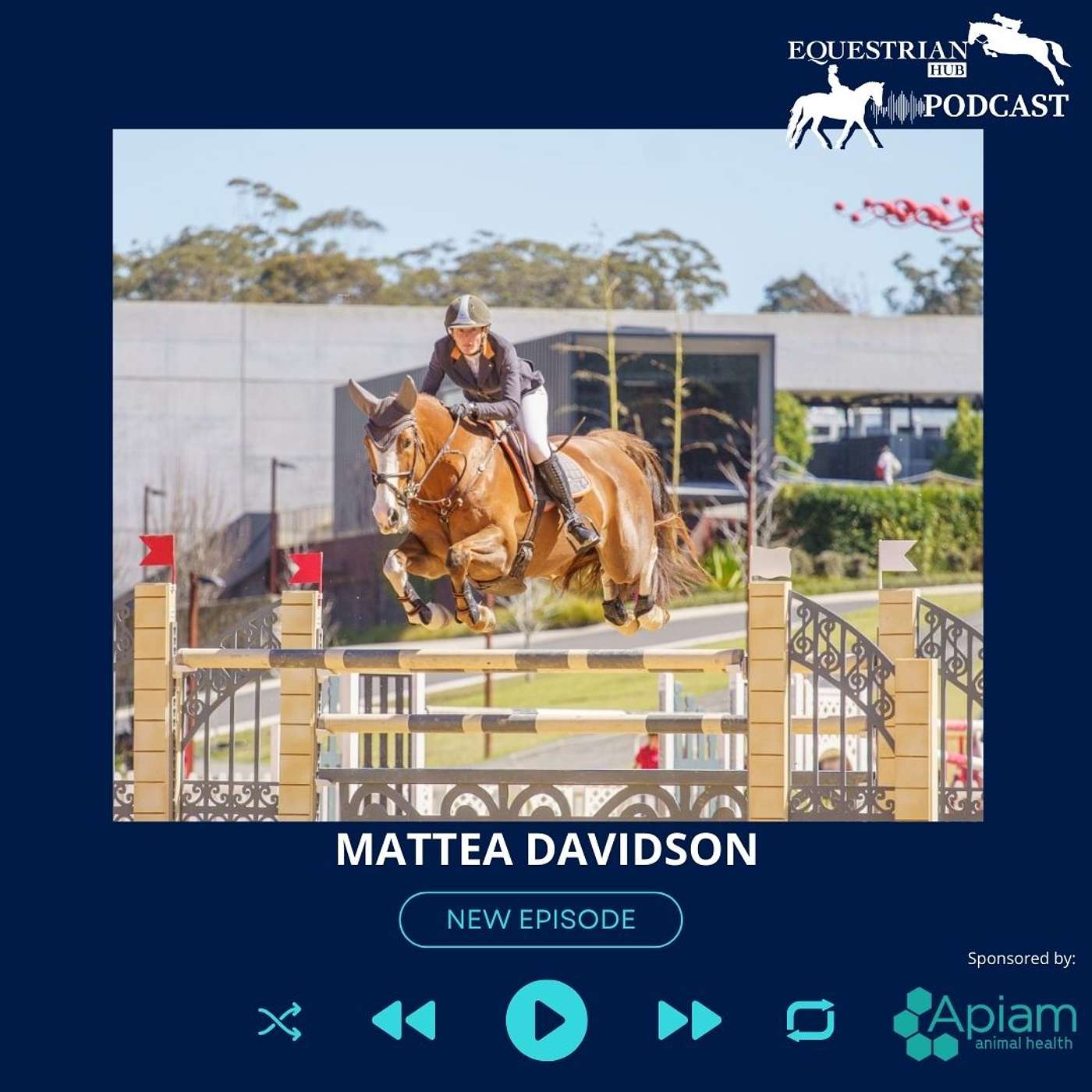 Equestrian Hub Podcast