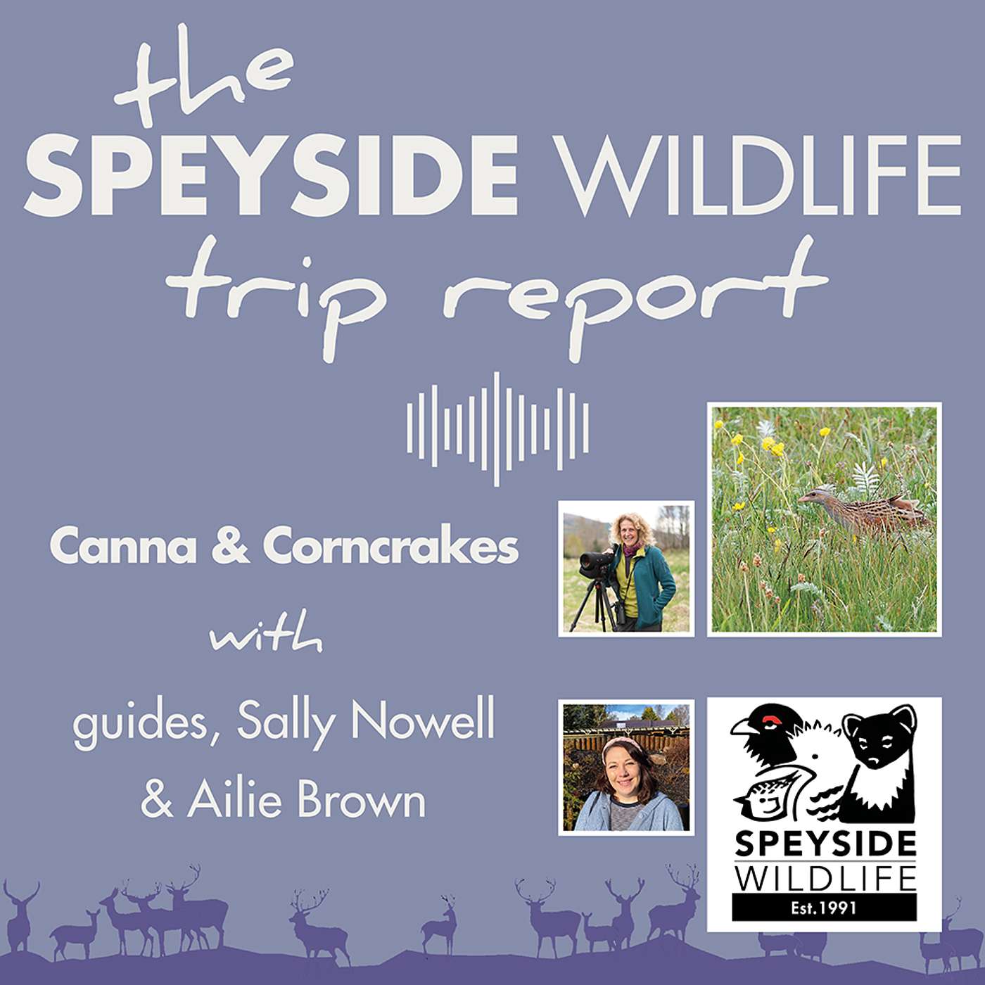The Speyside Wildlife Trip Report