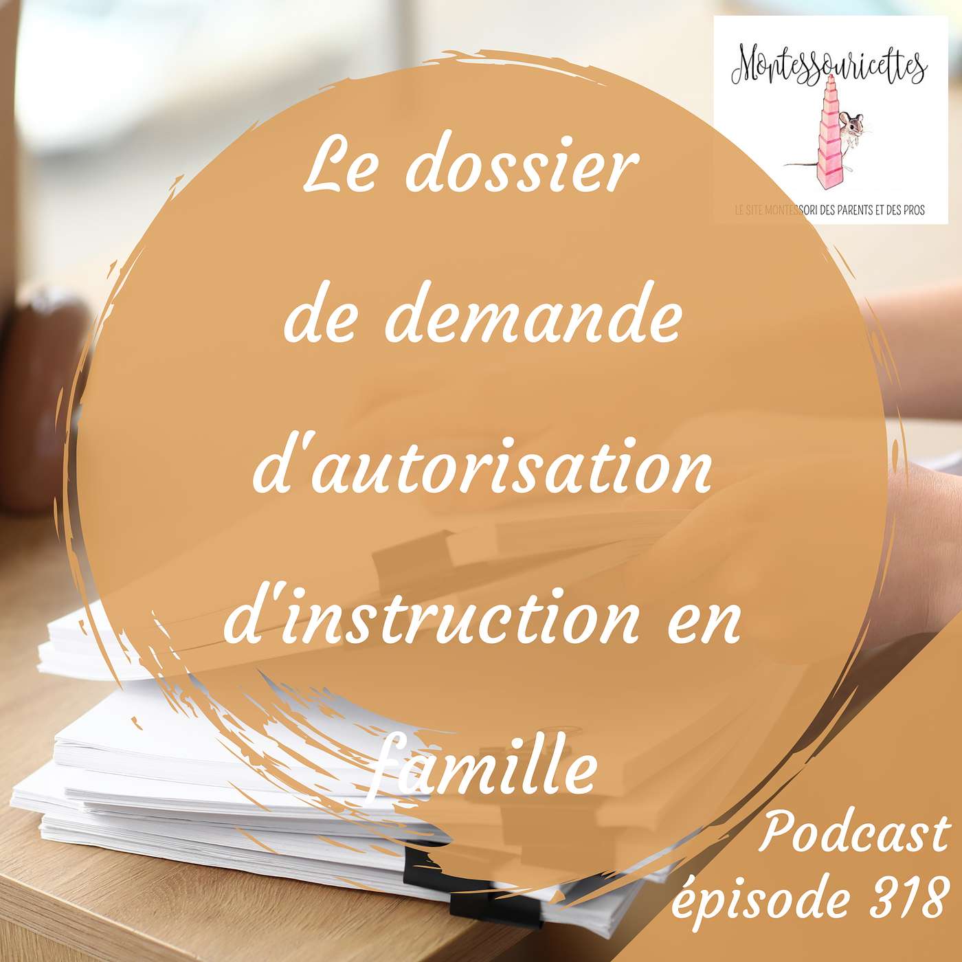 318. Le dossier de demande d'autorisation d'instruction en famille (Redif) 318. Le dossier de demande d'autorisation d'instruction en famille (Redif)
