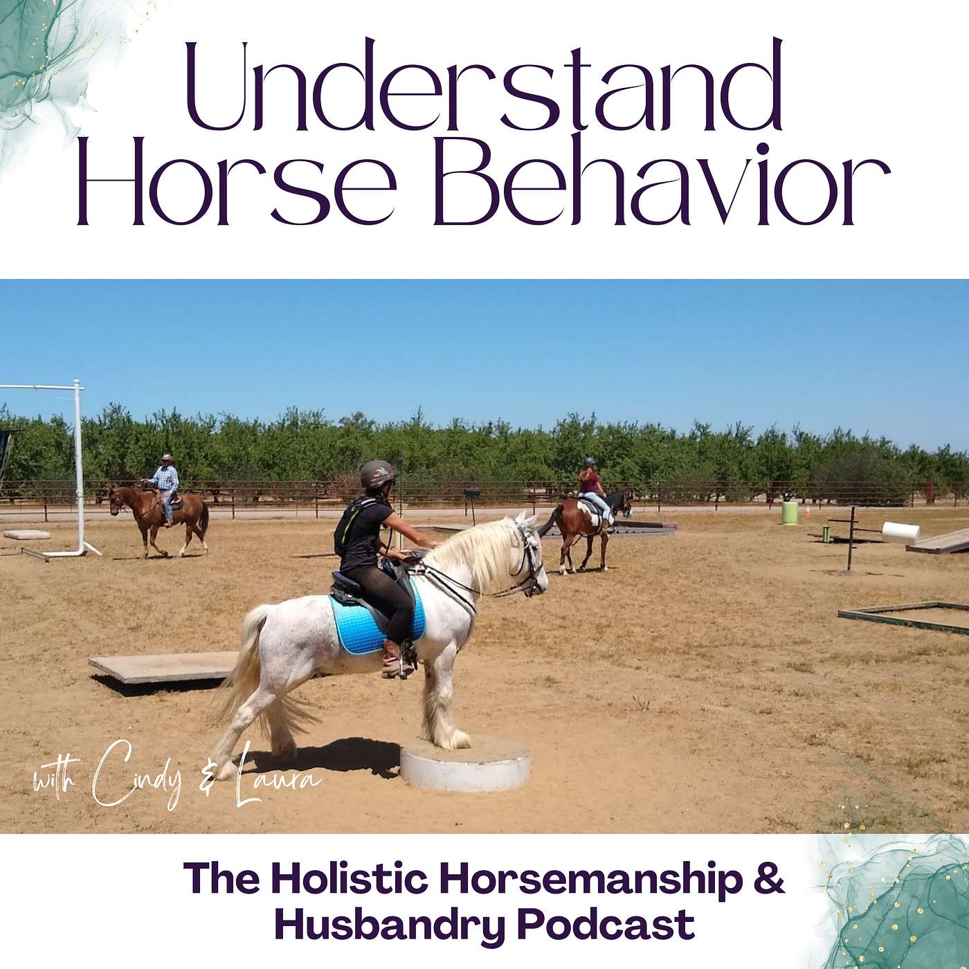 The Holistic Horsemanship and Husbandry Podcast
