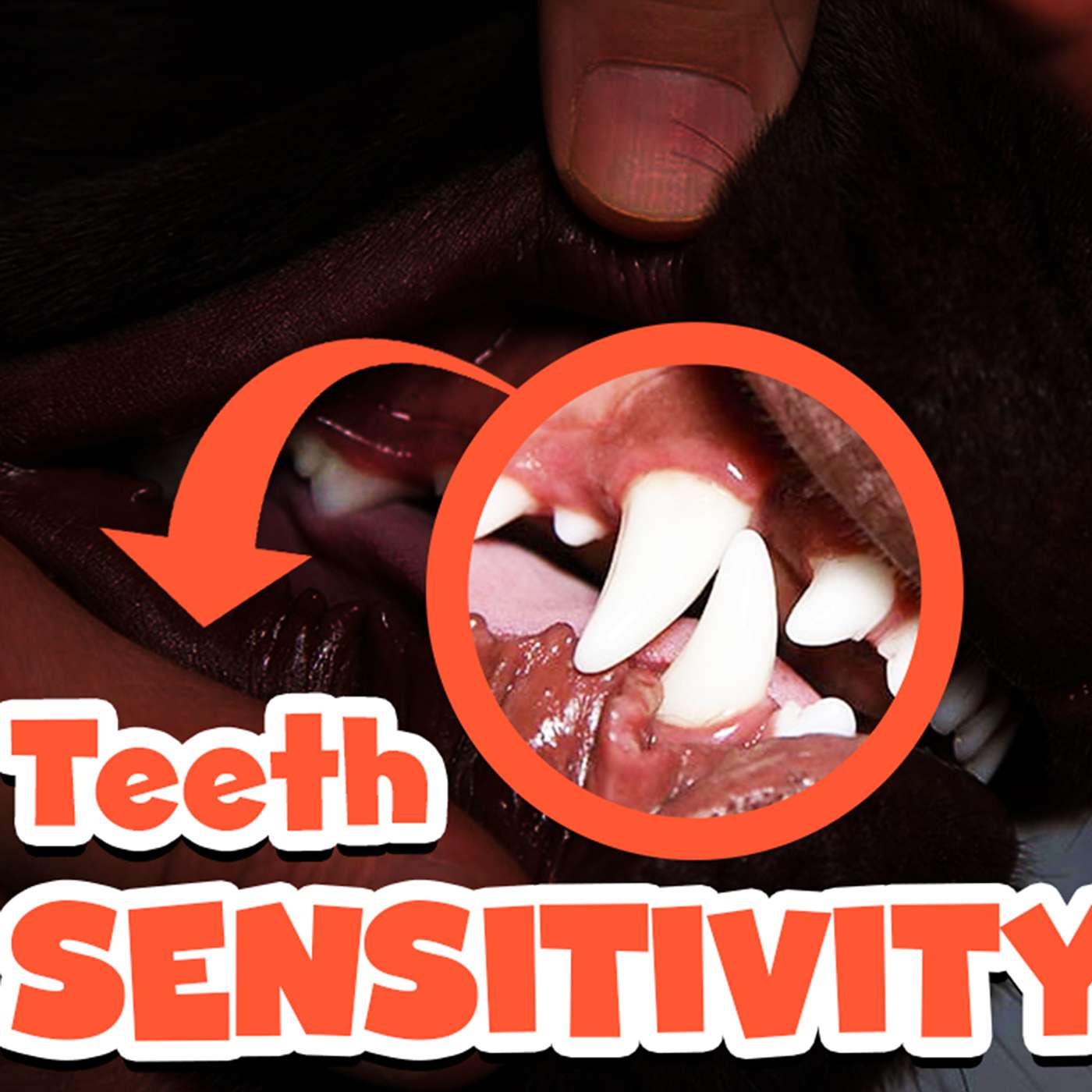 How To Handle Teeth Sensitivity