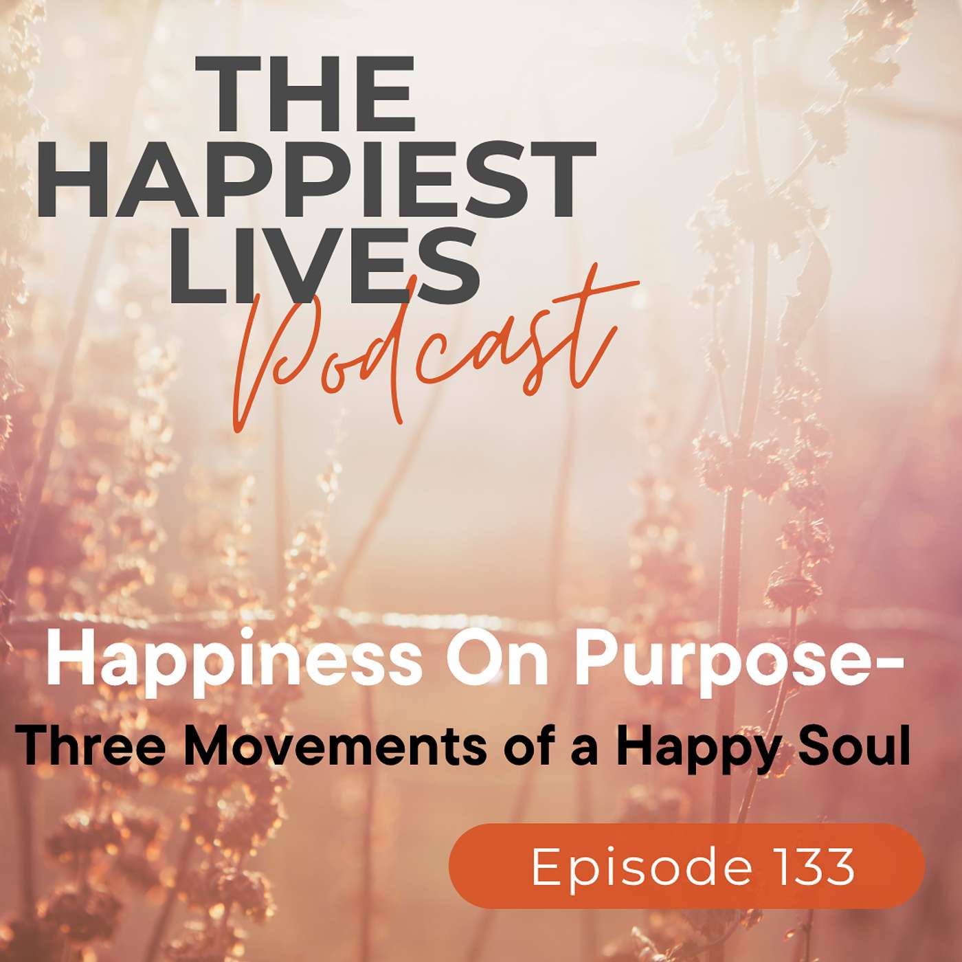 E133: Happiness On Purpose