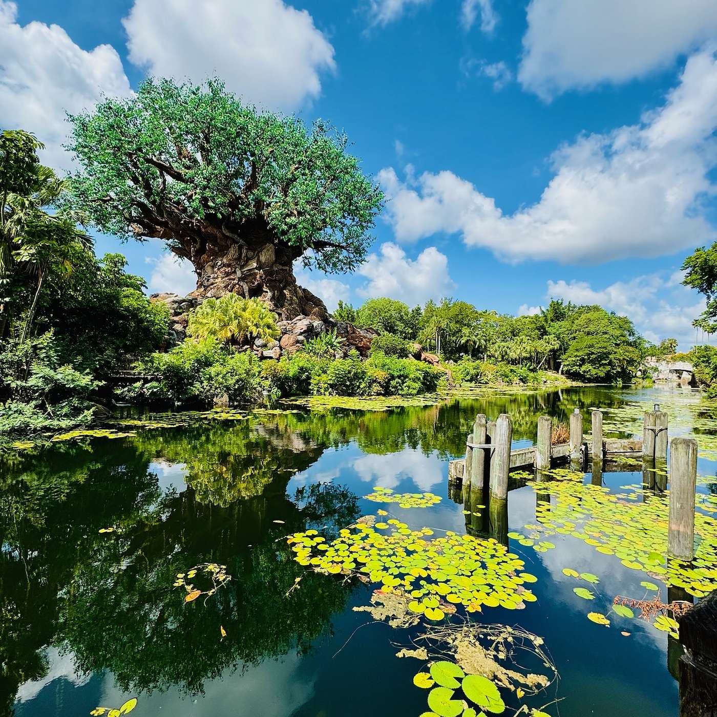 Episode 10: Nahtazu: Exploring Disney's Wildest Park episode artwork