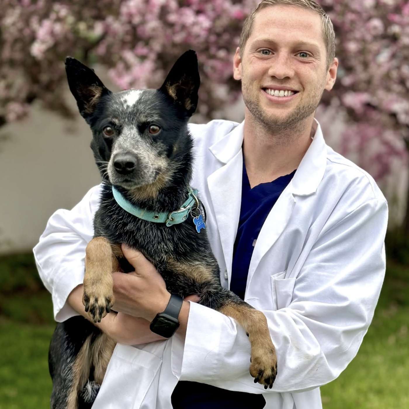 Pet Hospice and Euthanasia | Interview: Dr. Murray, Hospice Vet episode artwork