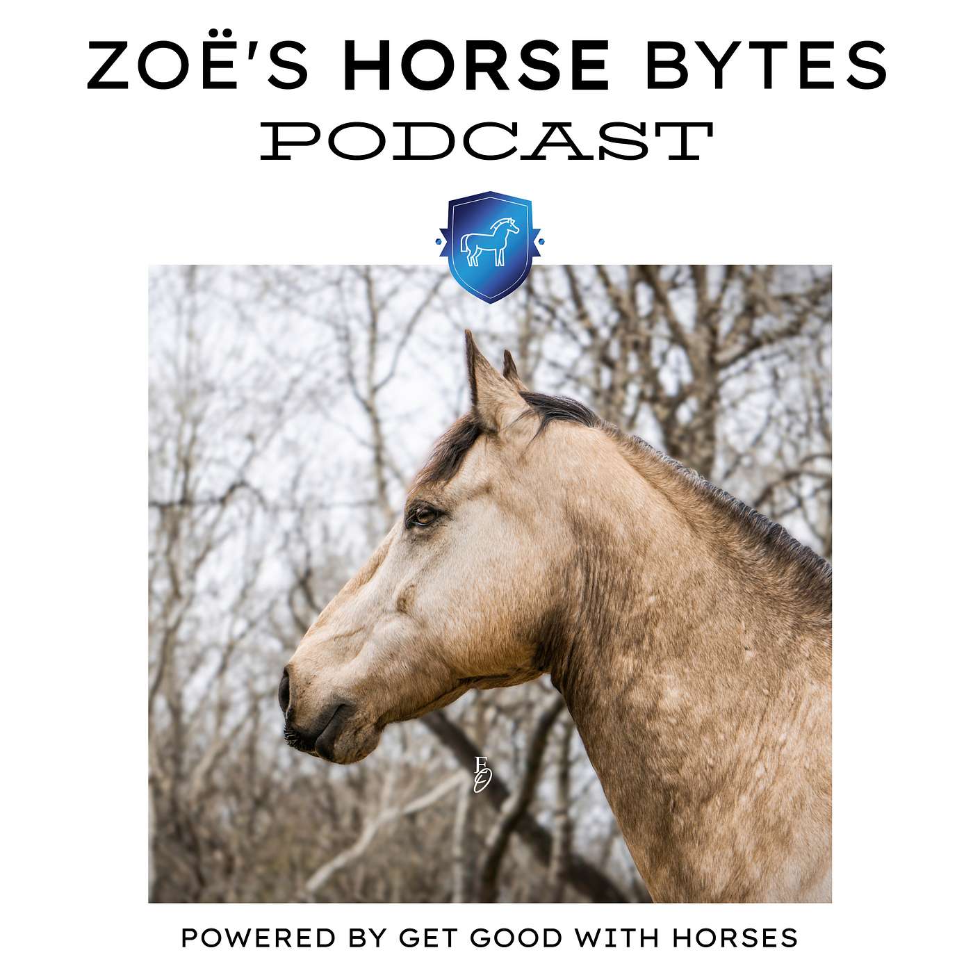 24. The silent world of horses episode artwork