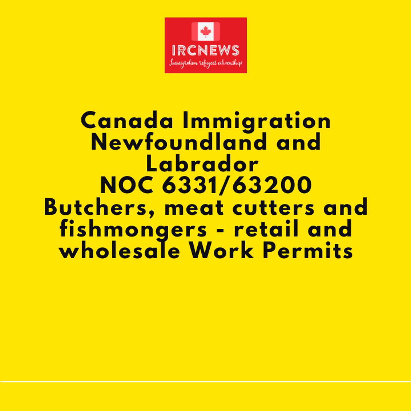 Canada Immigration Newfoundland and Labrador NOC 6331/63200 Butchers, meat cutters and fishmongers - retail and wholesale Work Permits episode artwork