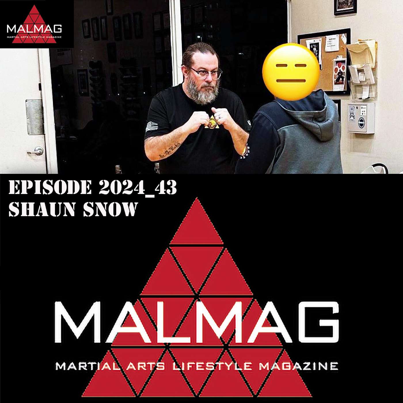 The Martial Arts Lifestyle Podcast