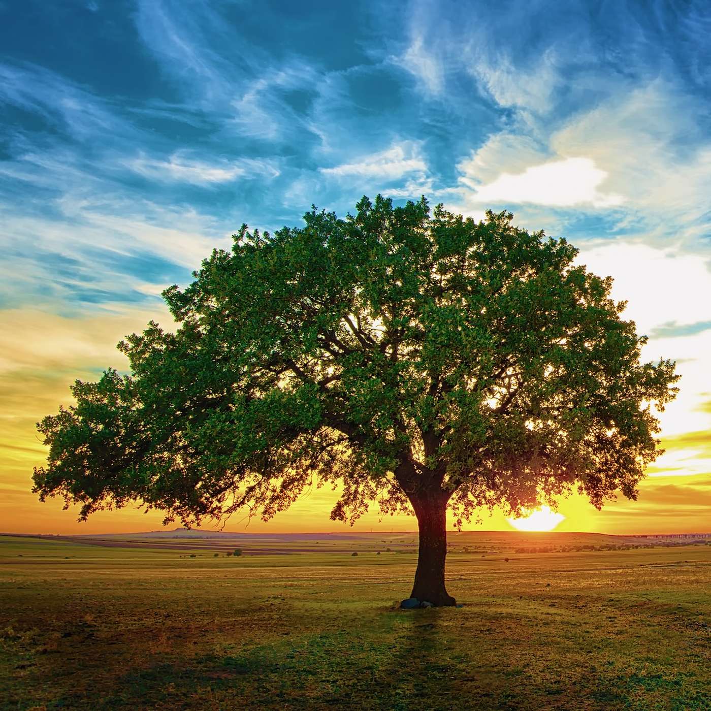 Heaven on Earth Mini Meditations