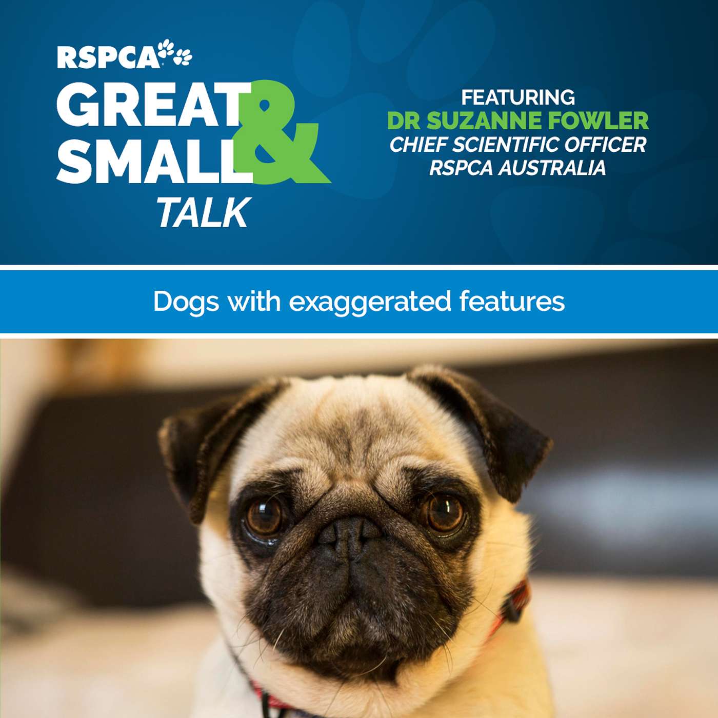 RSPCA Australia\'s Great & Small Talk