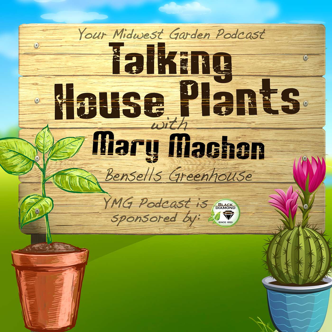 Indoor House Plants Pt1