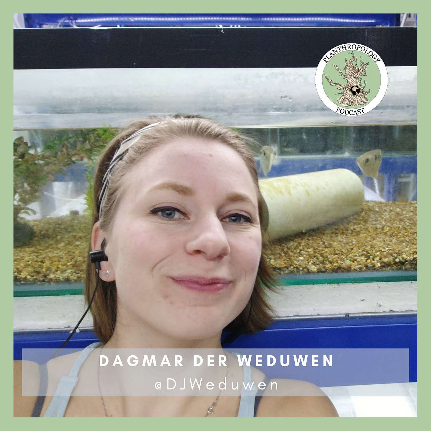 54. Helicopter Seeds, Really Smart Fish, and Science Fame w/ Dagmar der Weduwen