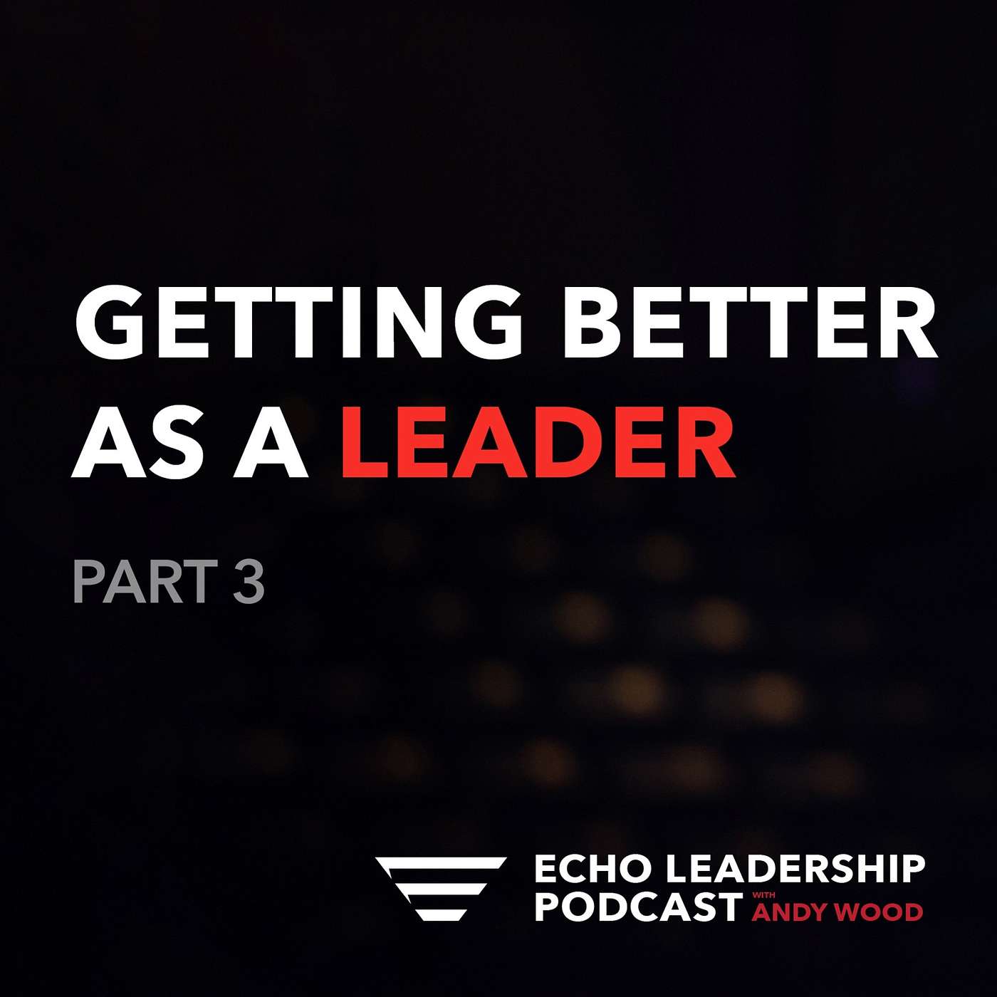 Echo Leadership Podcast with Andy Wood