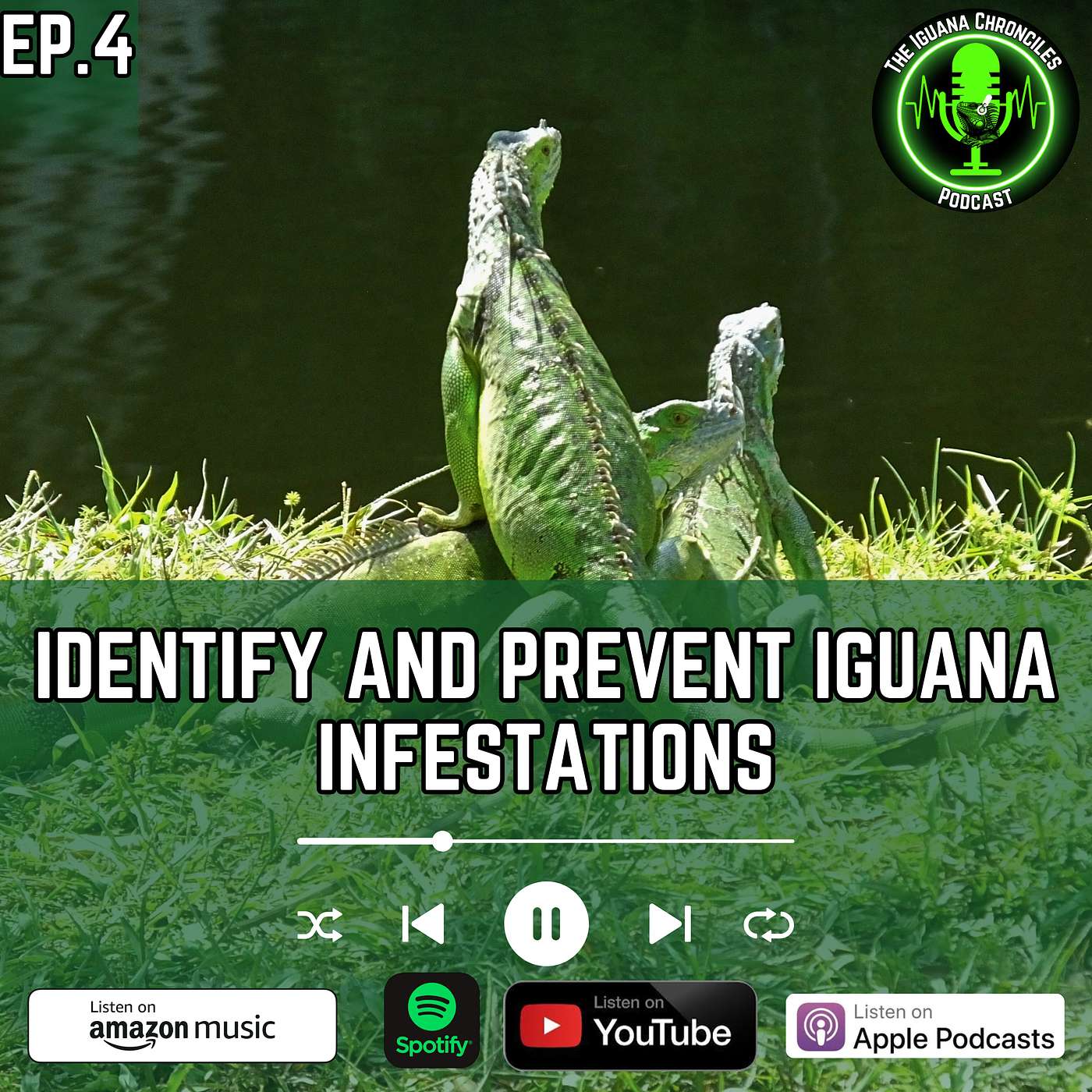 The Iguana Chronicles Podcast