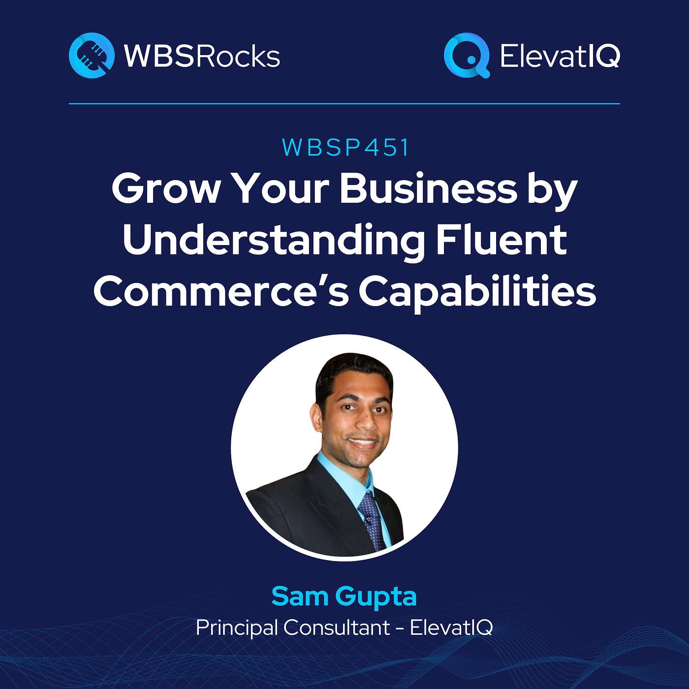 WBSP451: Grow Your Business by Understanding Fluent Commerce’s Capabilities, an Objective Panel Discussion