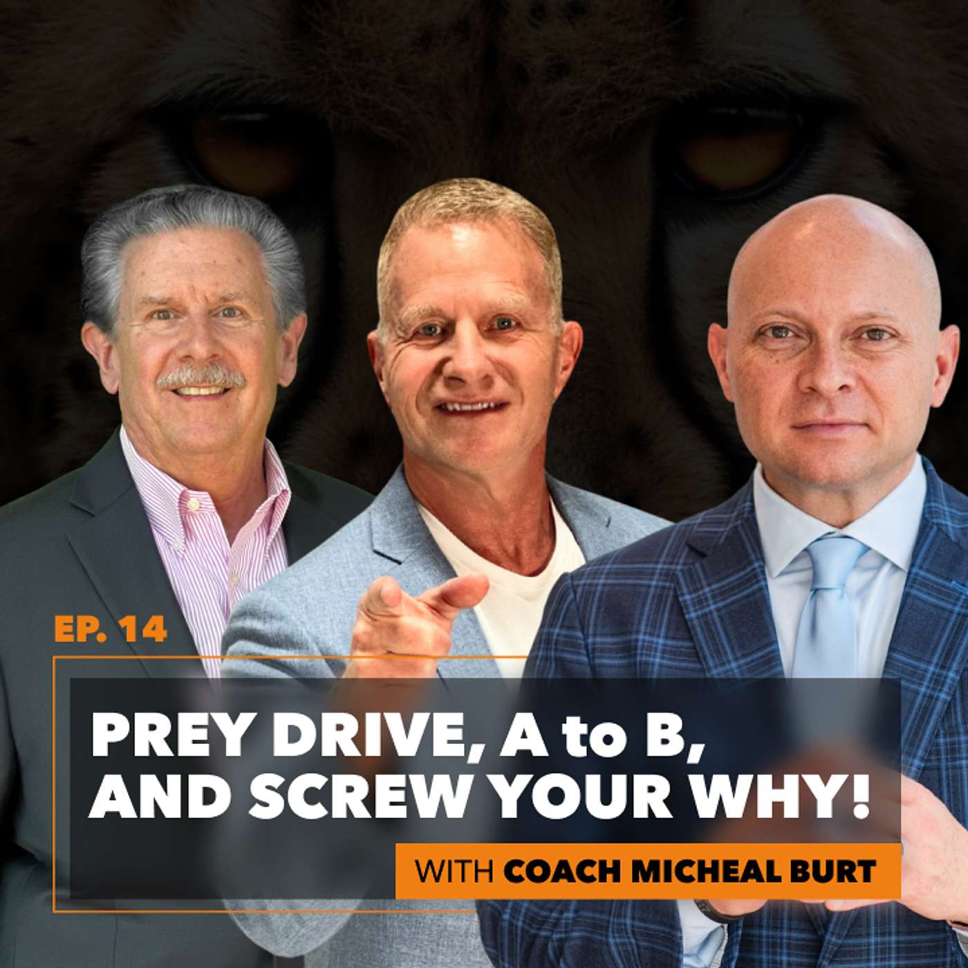 Prey Drive, A to B, and Screw Your Why! Run With The Cheetahs EP14 episode artwork