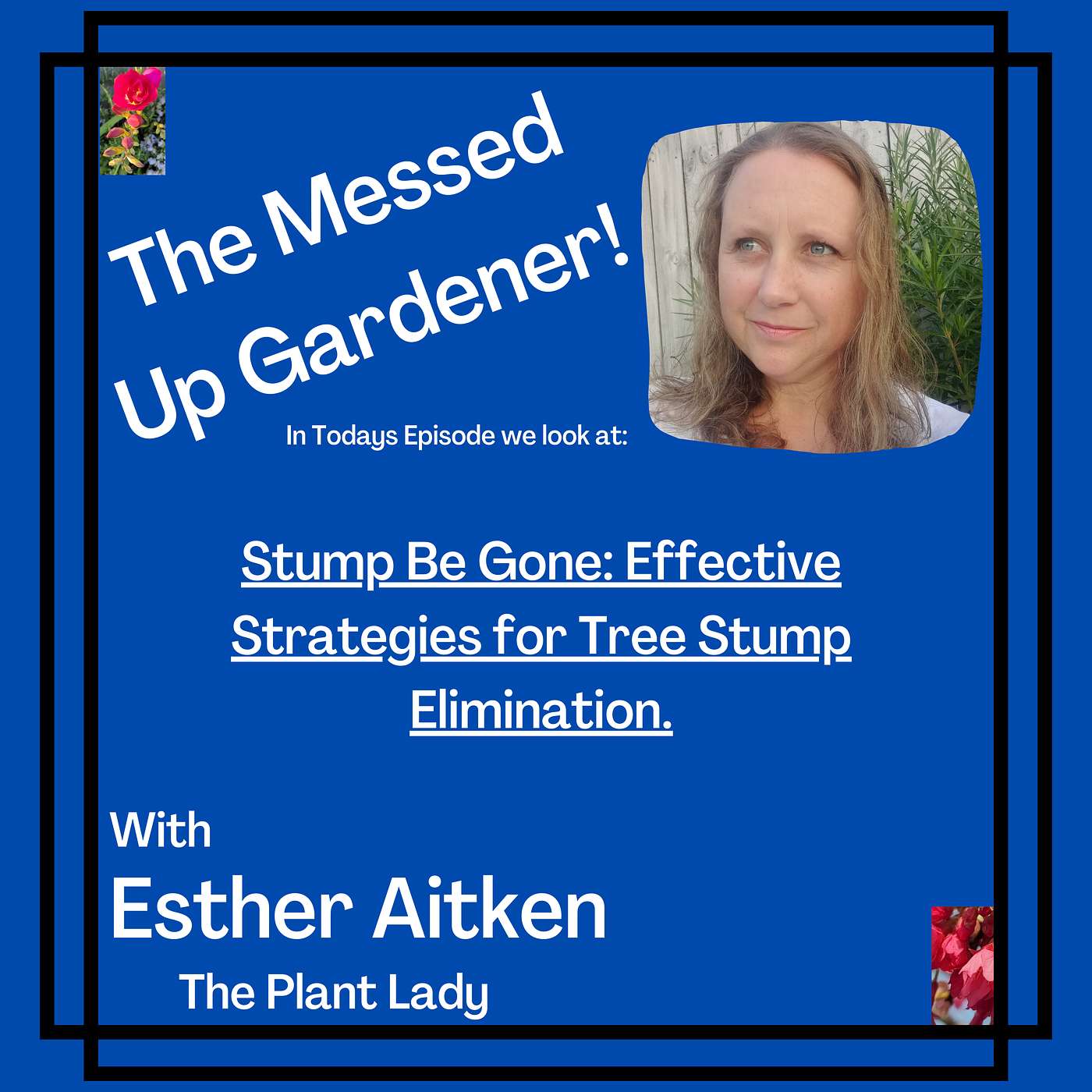 Ep 95 Stump Be Gone: Effective Strategies for Tree Stump Elimination