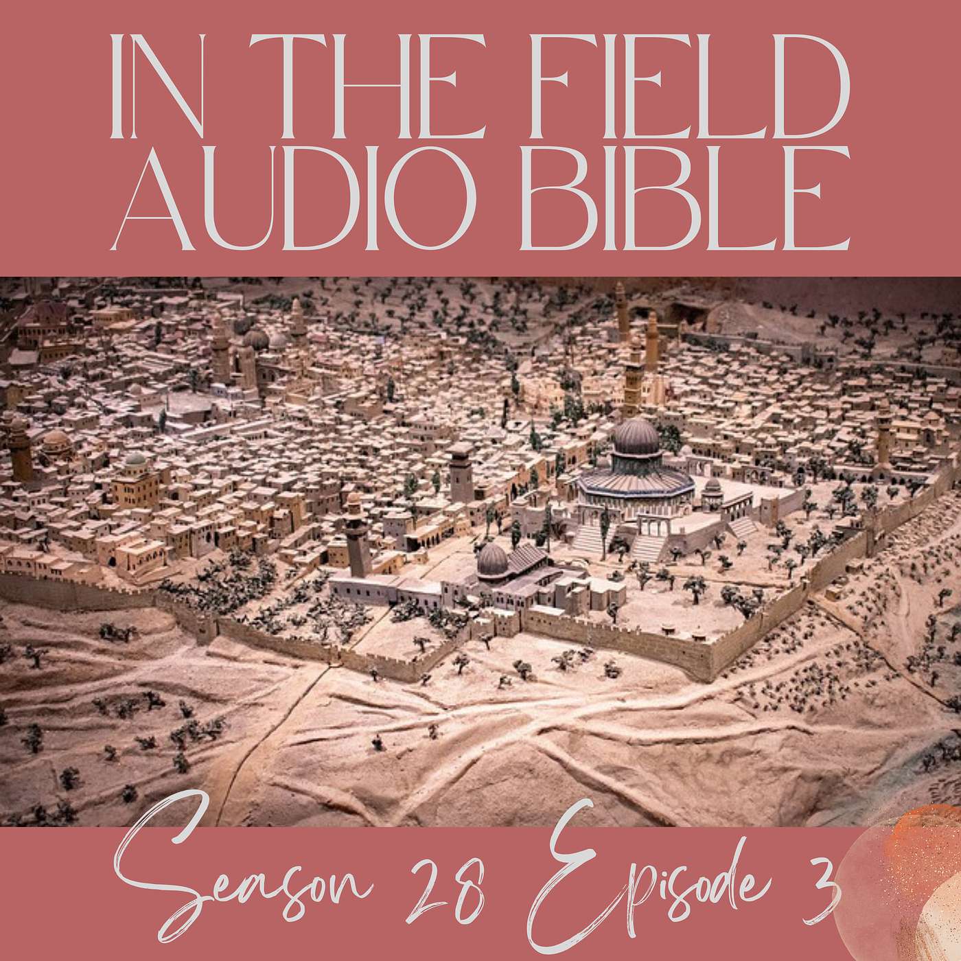 In the Field Audio Bible