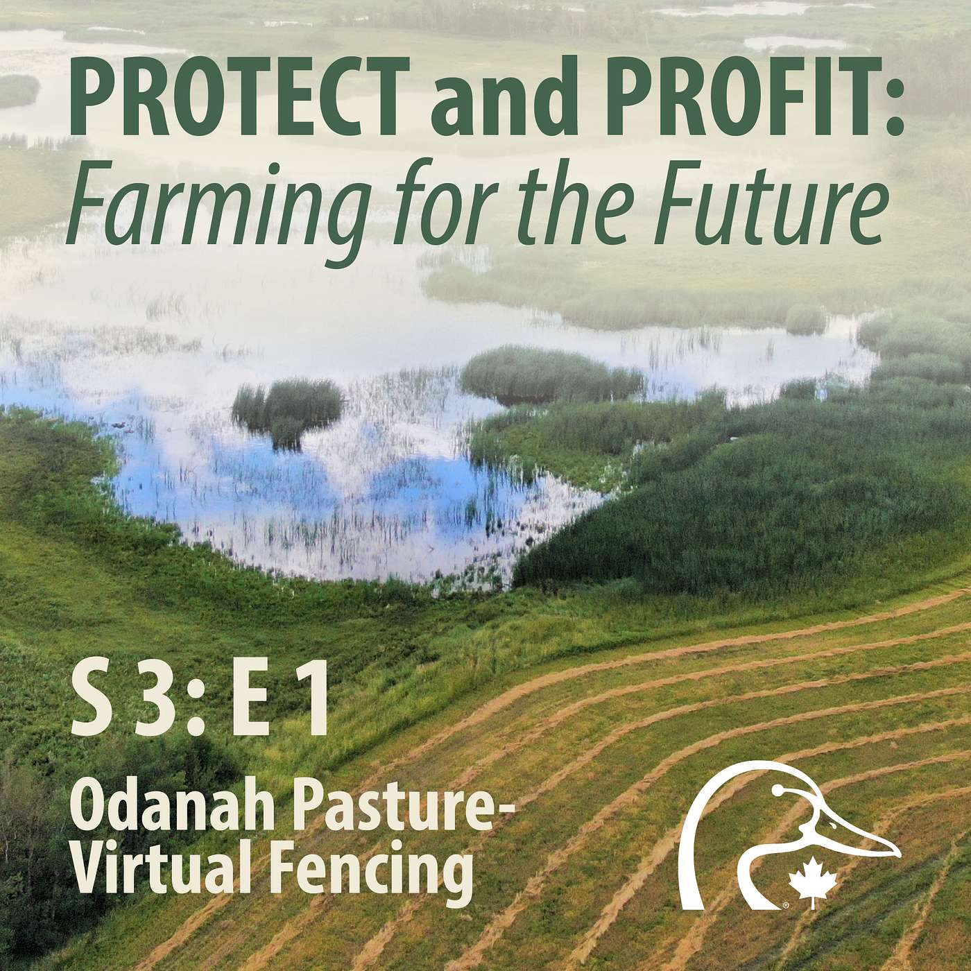 2026 04 April - Odanah Pasture Virtual Fencing episode artwork